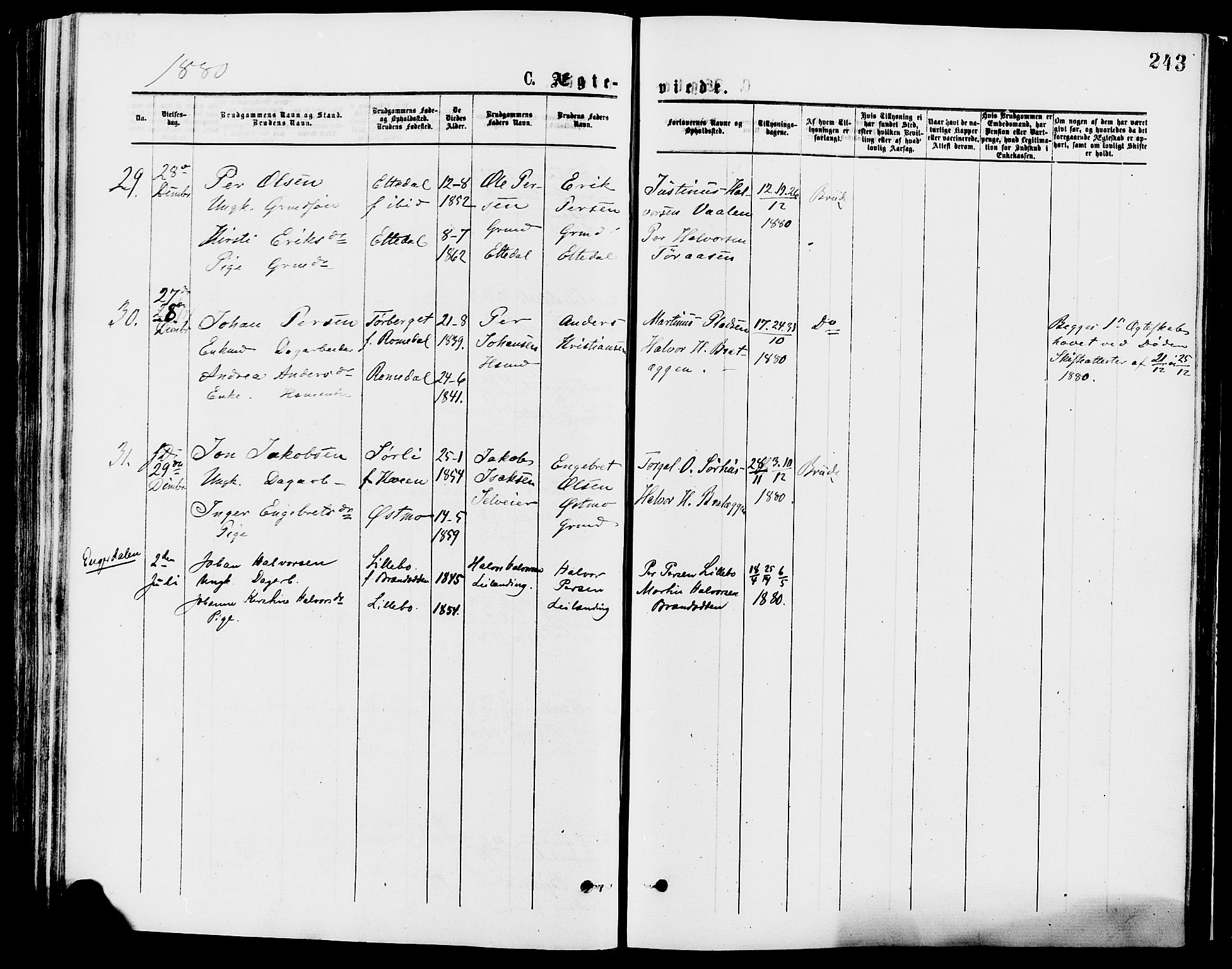 Trysil prestekontor, AV/SAH-PREST-046/H/Ha/Haa/L0007: Parish register (official) no. 7, 1874-1880, p. 243