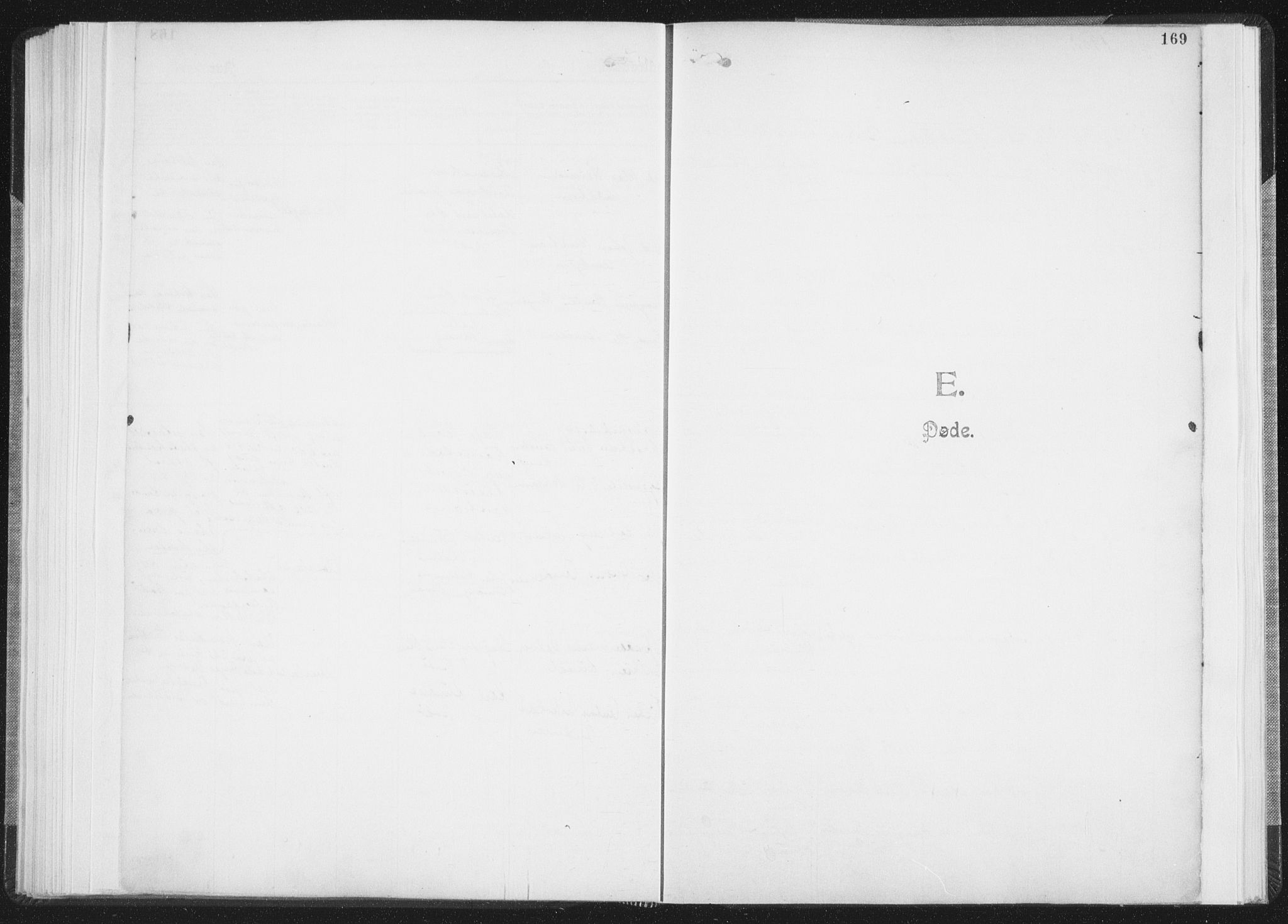 Ministerialprotokoller, klokkerbøker og fødselsregistre - Nordland, AV/SAT-A-1459/850/L0711: Curate's parish register no. 850B01, 1902-1915, p. 169
