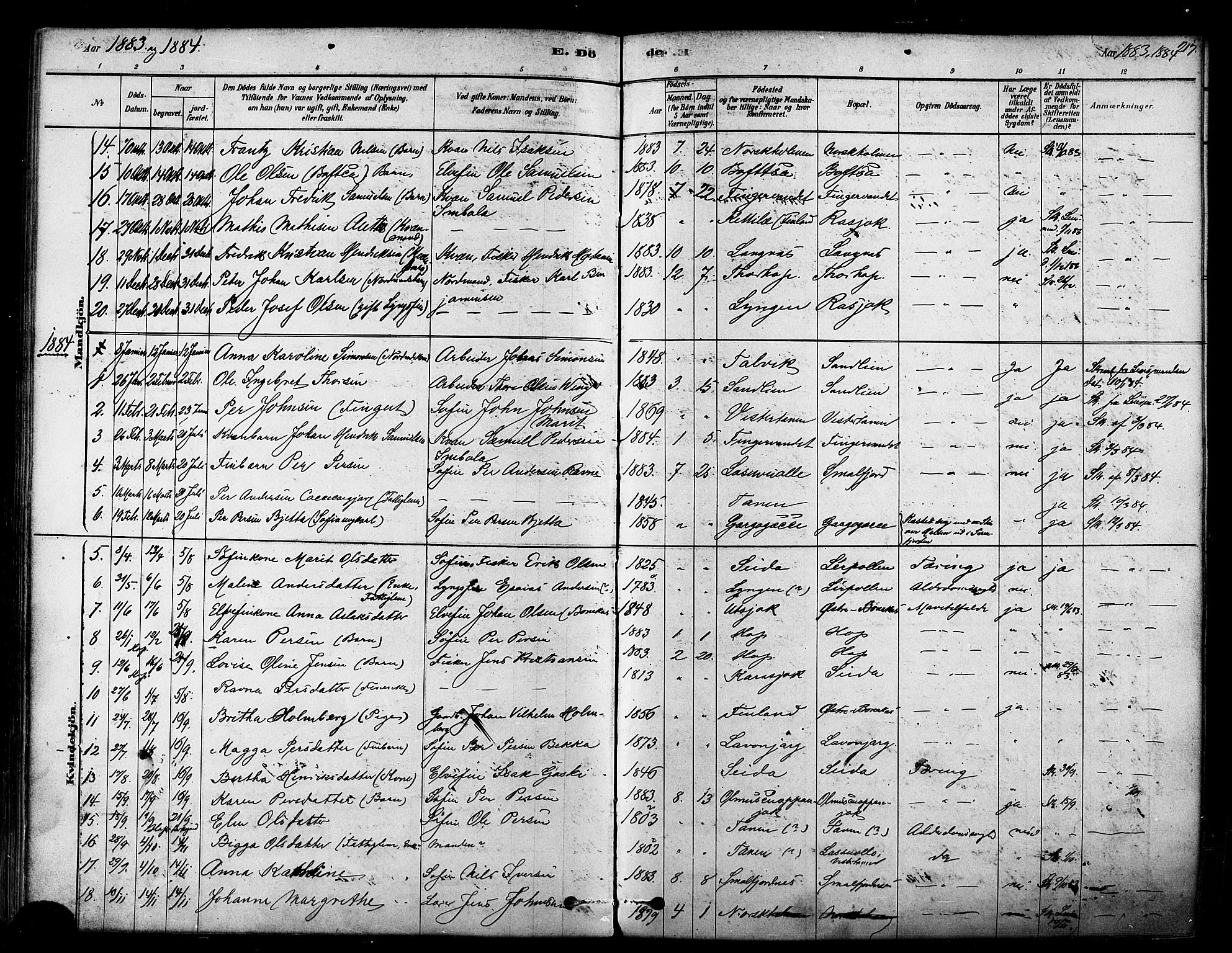 Tana sokneprestkontor, SATØ/S-1334/H/Ha/L0004kirke: Parish register (official) no. 4, 1878-1891, p. 217