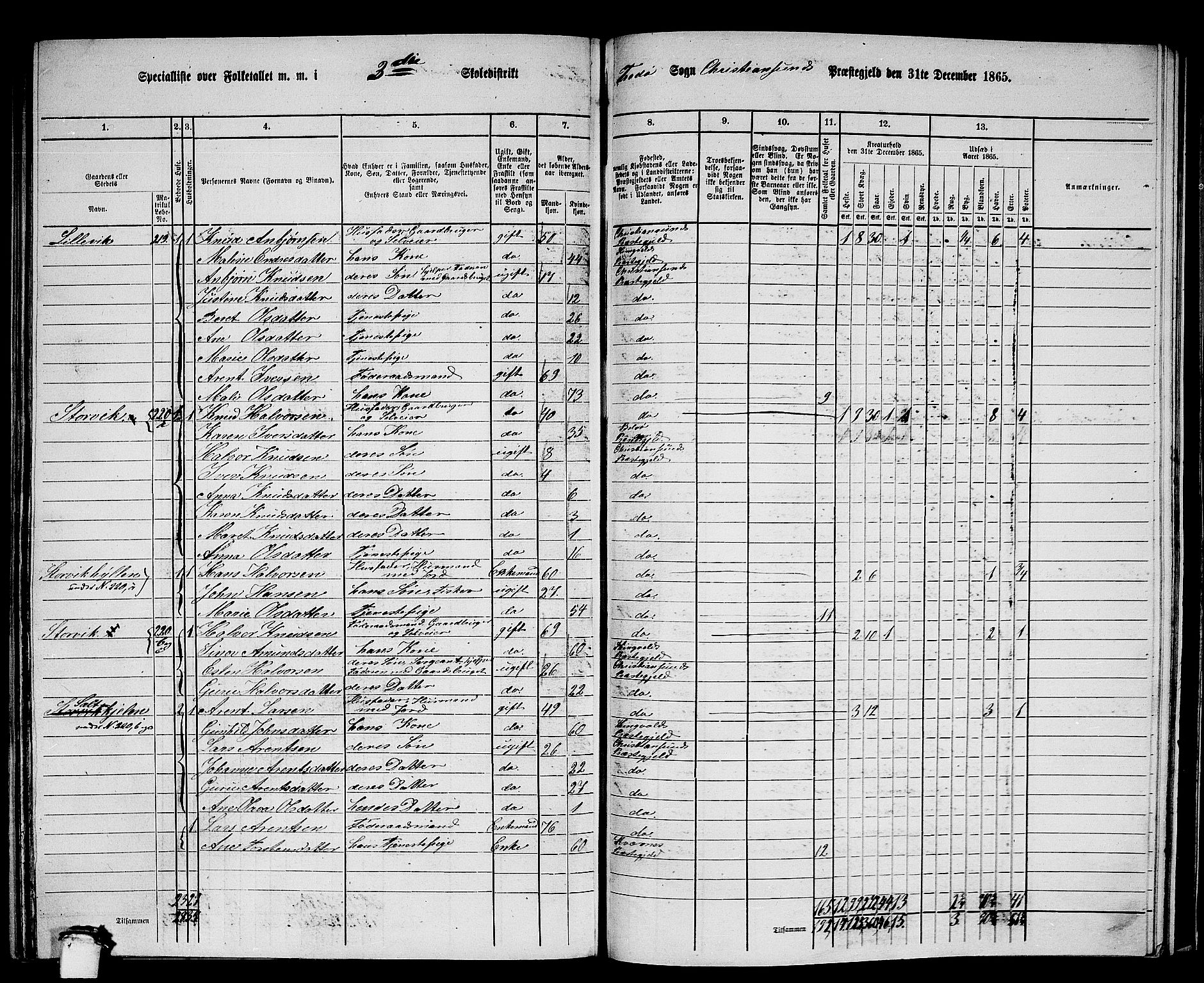 RA, 1865 census for Kristiansund/Frei og Grip, 1865, p. 43