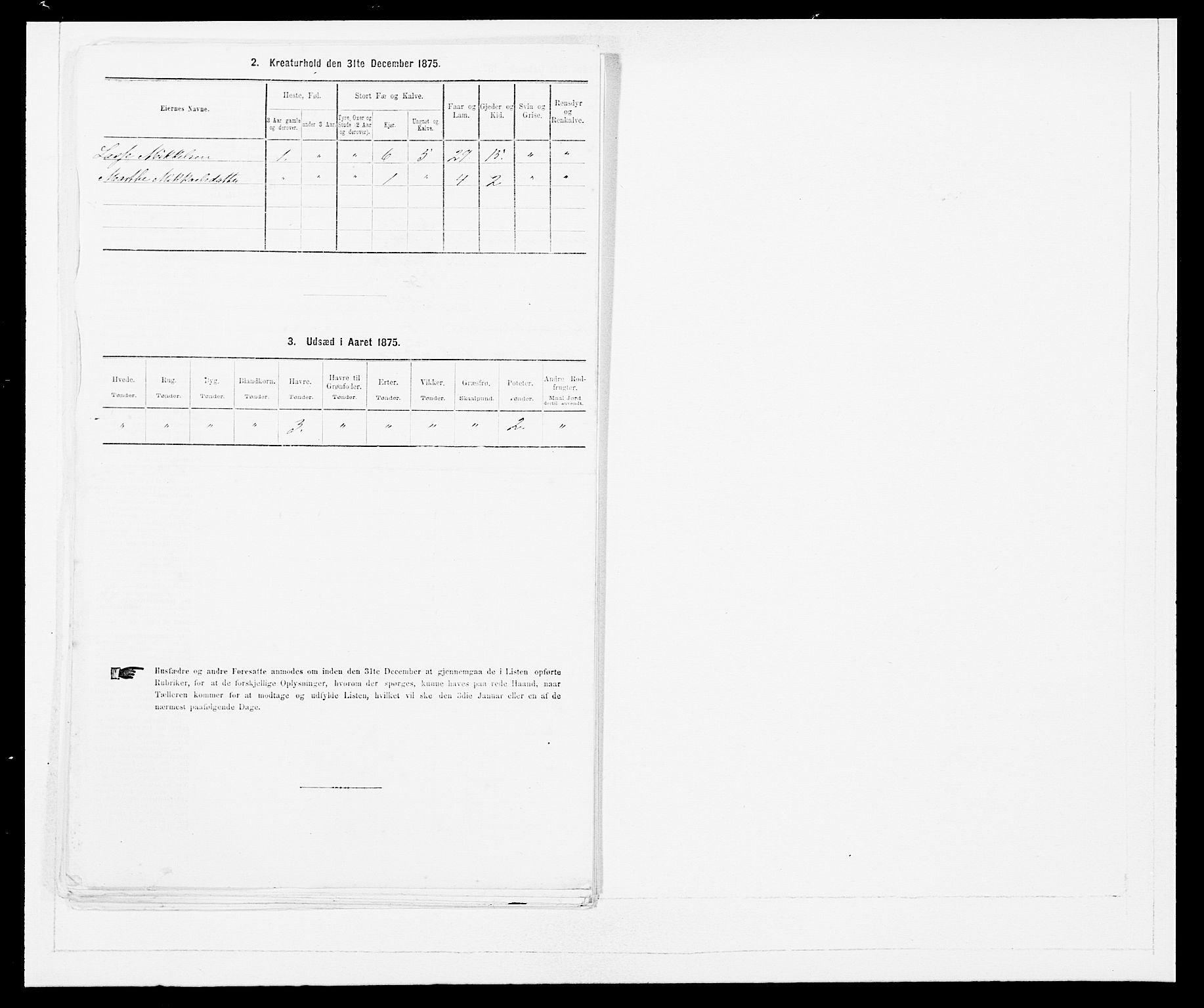 SAB, 1875 census for 1429P Ytre Holmedal, 1875, p. 1113