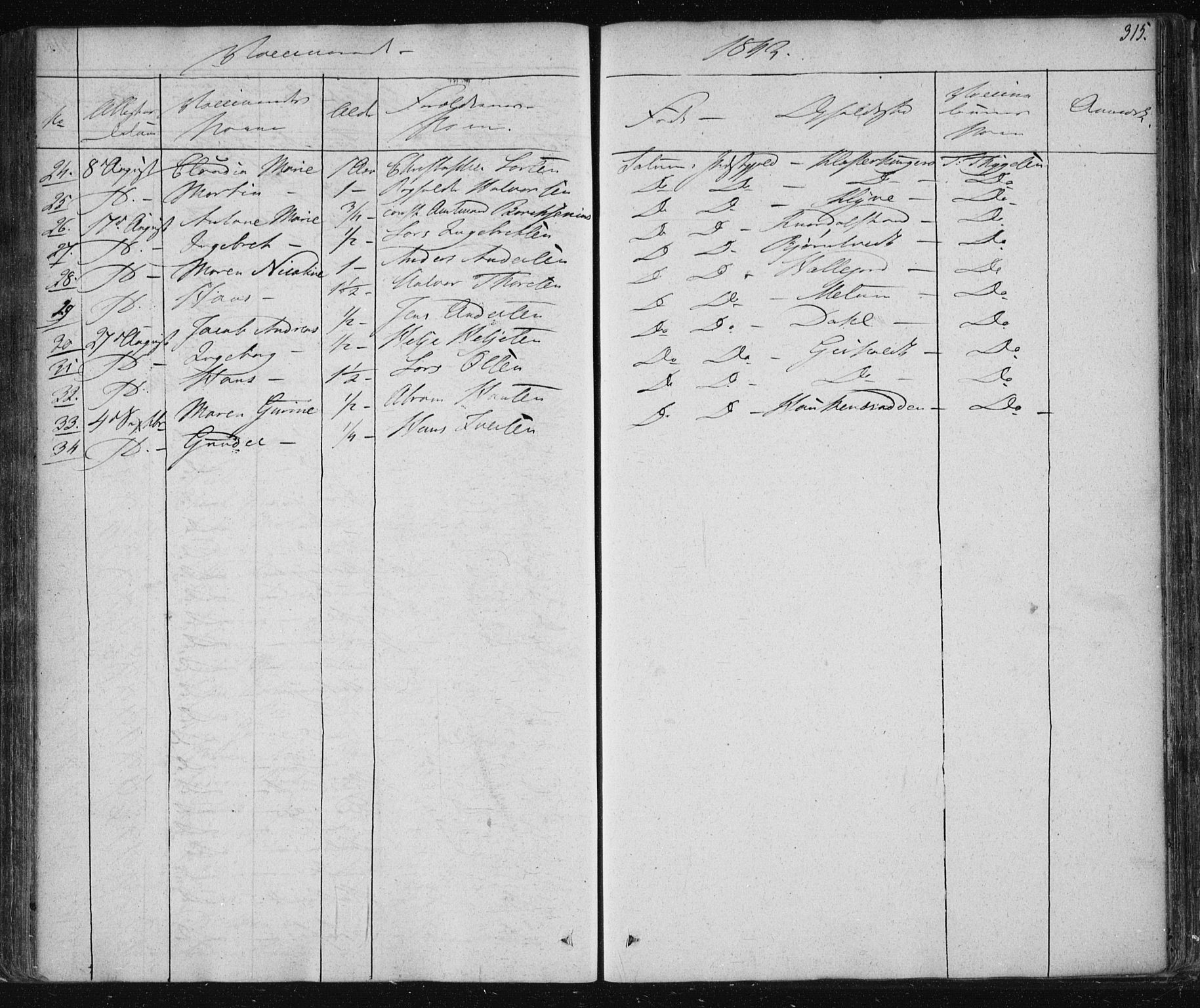 Solum kirkebøker, SAKO/A-306/F/Fa/L0005: Parish register (official) no. I 5, 1833-1843, p. 315