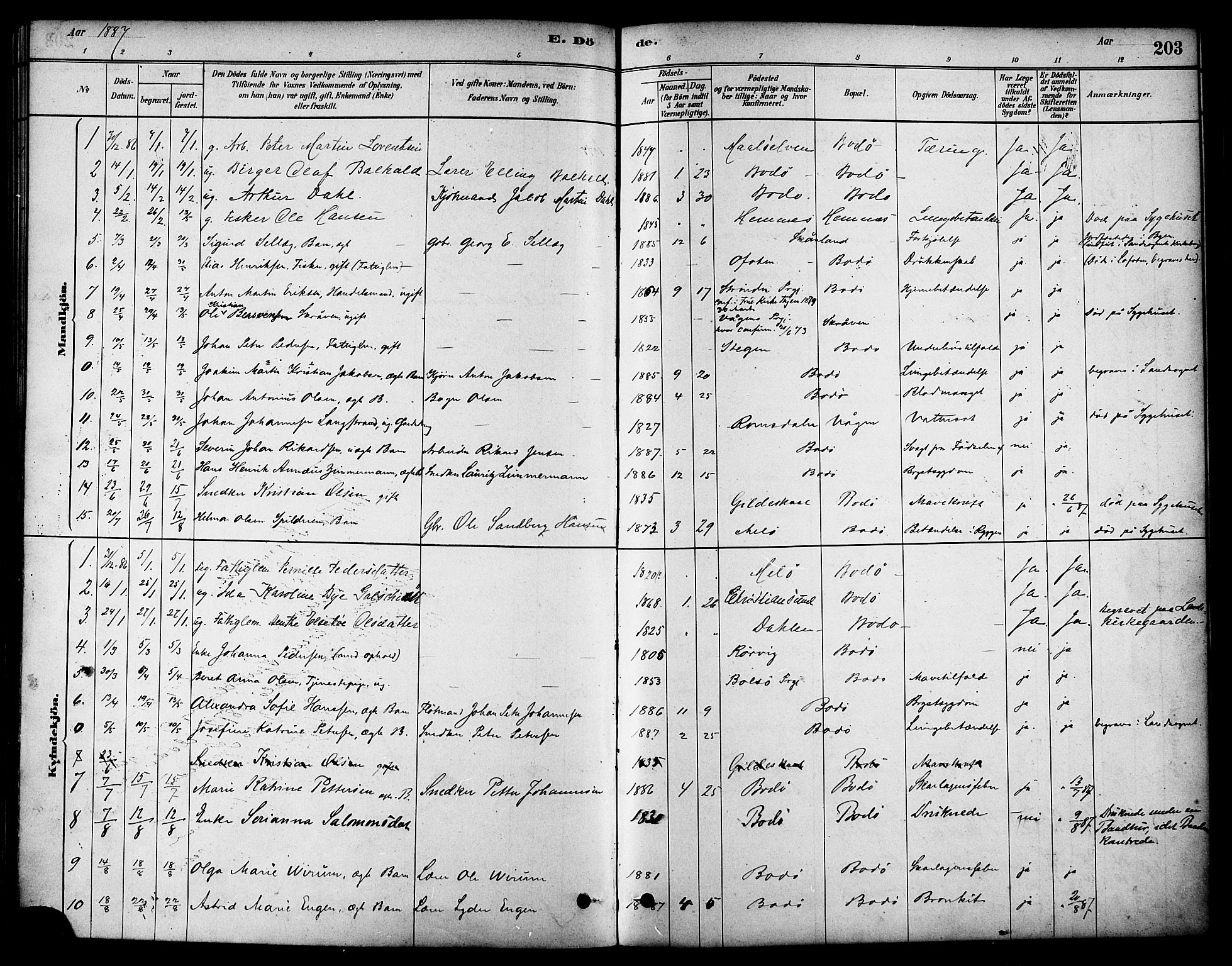 Ministerialprotokoller, klokkerbøker og fødselsregistre - Nordland, SAT/A-1459/801/L0030: Parish register (copy) no. 801C05, 1879-1887, p. 203