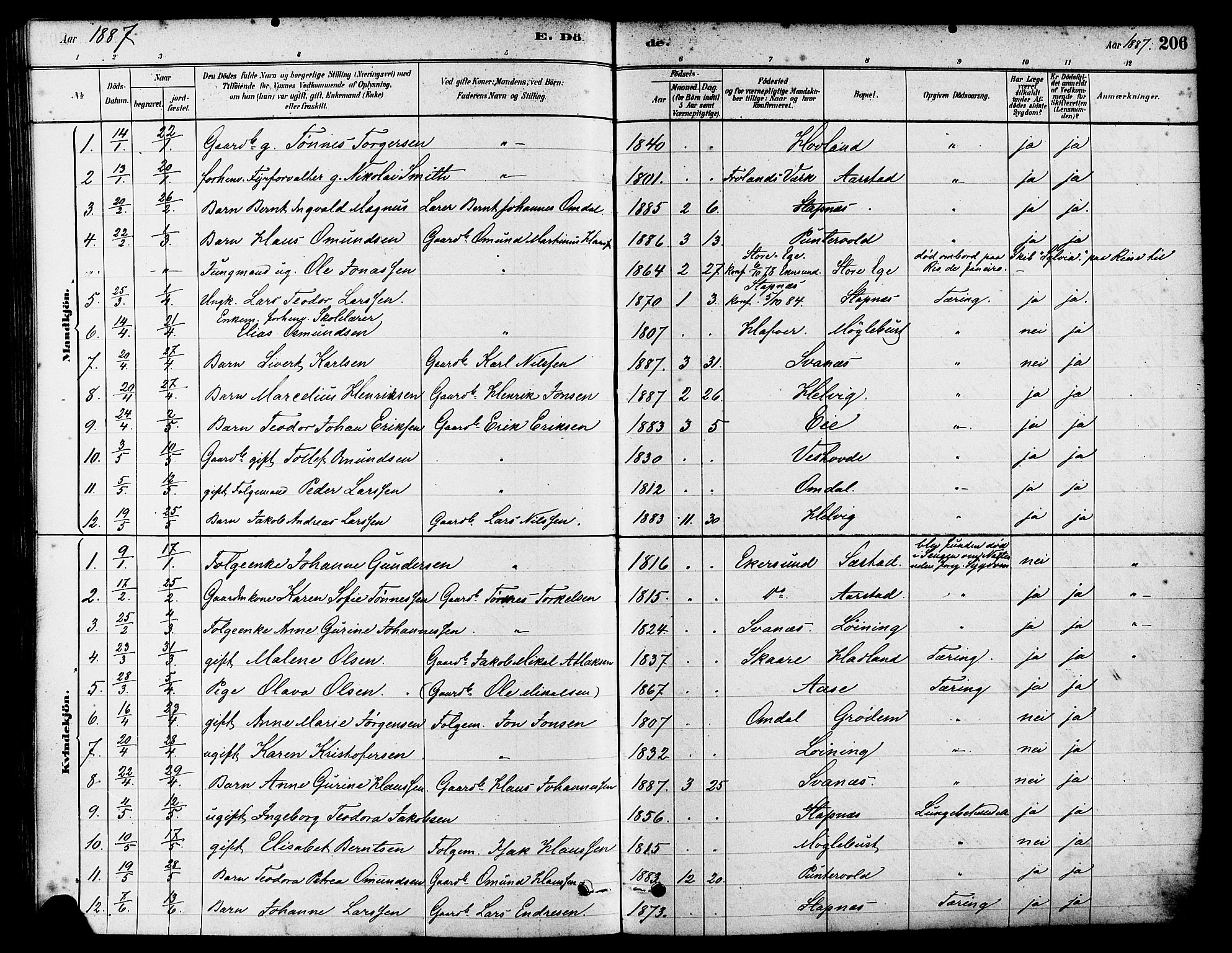 Eigersund sokneprestkontor, SAST/A-101807/S08/L0017: Parish register (official) no. A 14, 1879-1892, p. 206