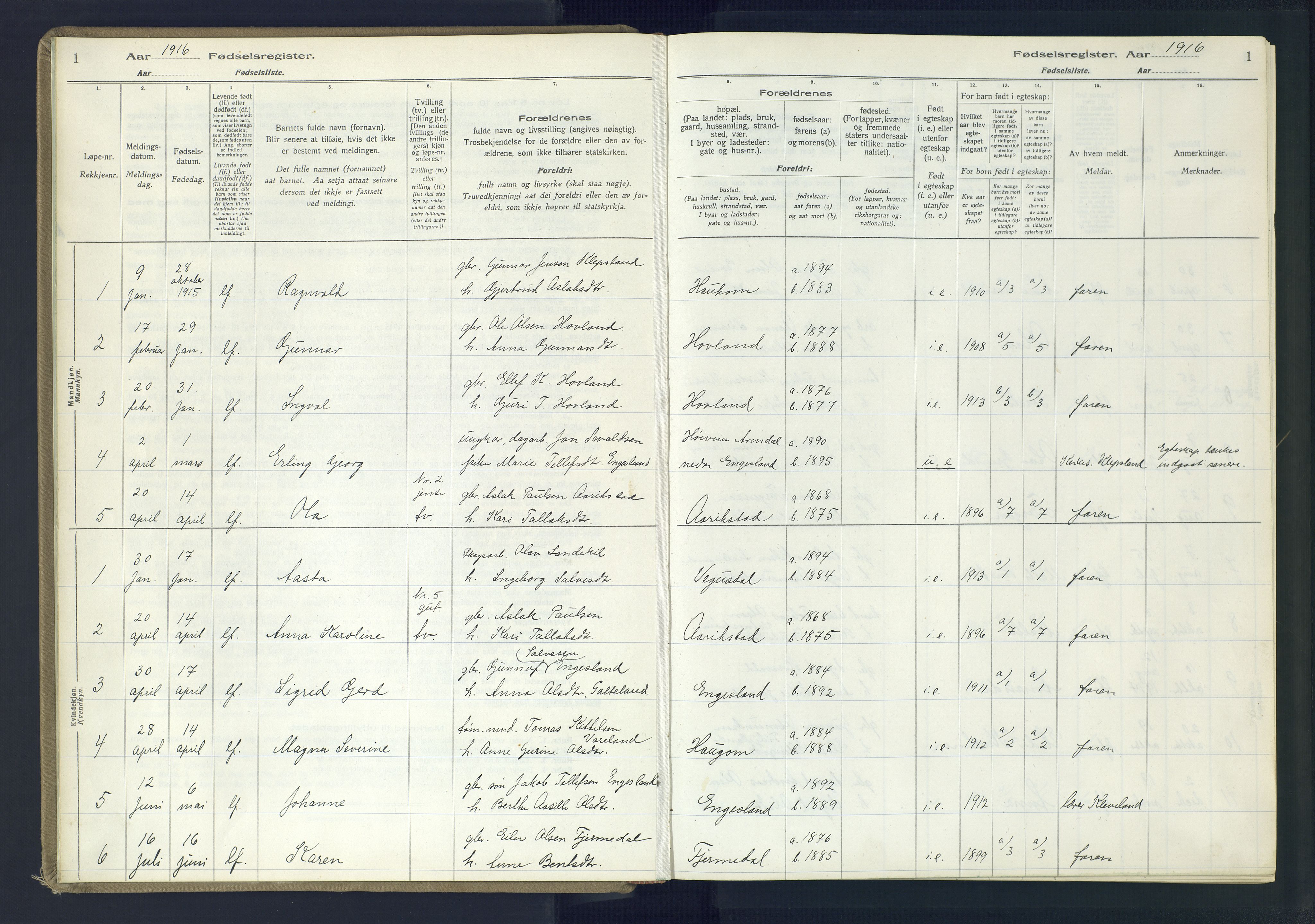 Herefoss sokneprestkontor, SAK/1111-0019/J/Ja/L0002: Birth register no. II.6.11, 1916-1982, p. 1