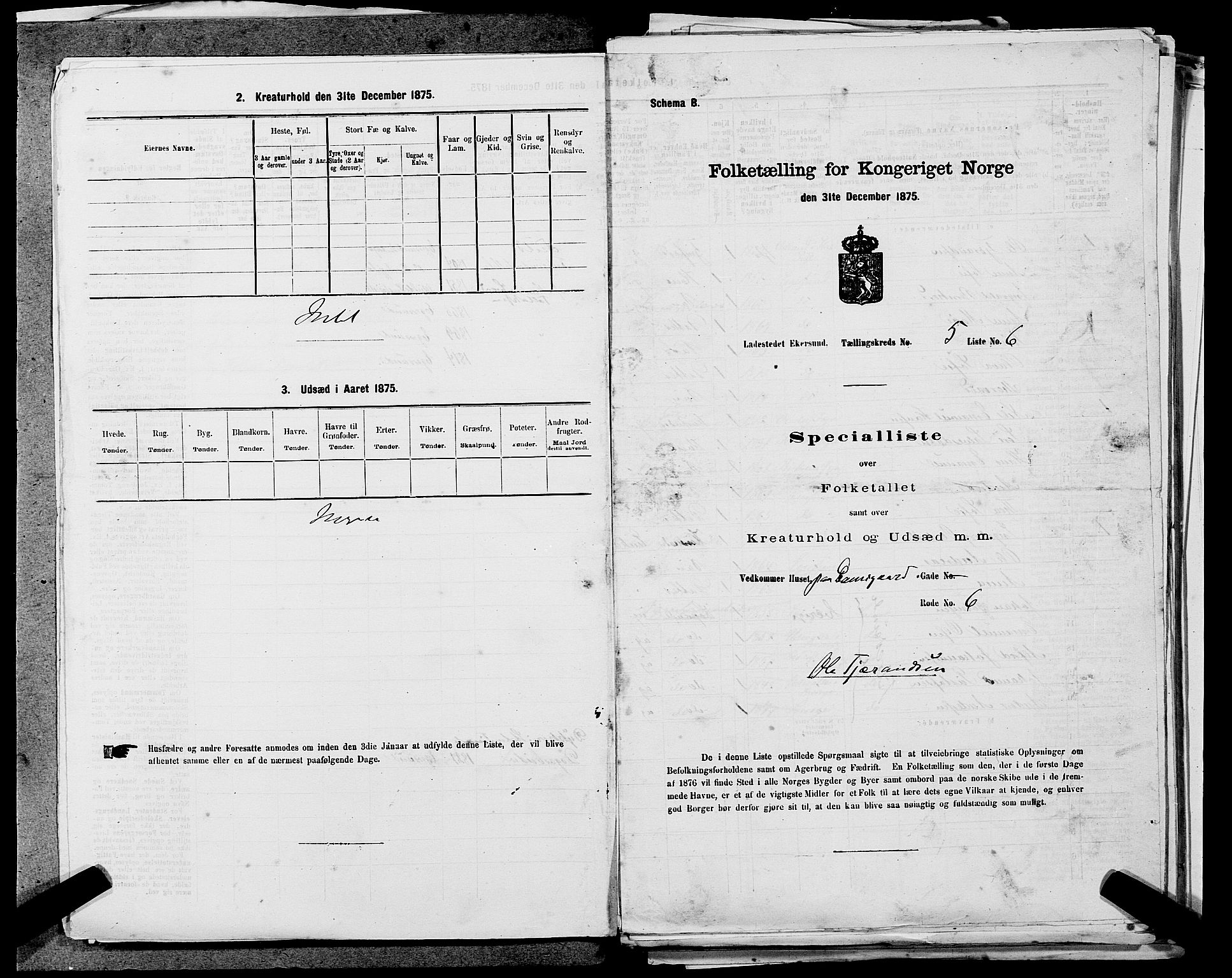 SAST, 1875 census for 1101B Eigersund parish, Egersund town, 1875, p. 442