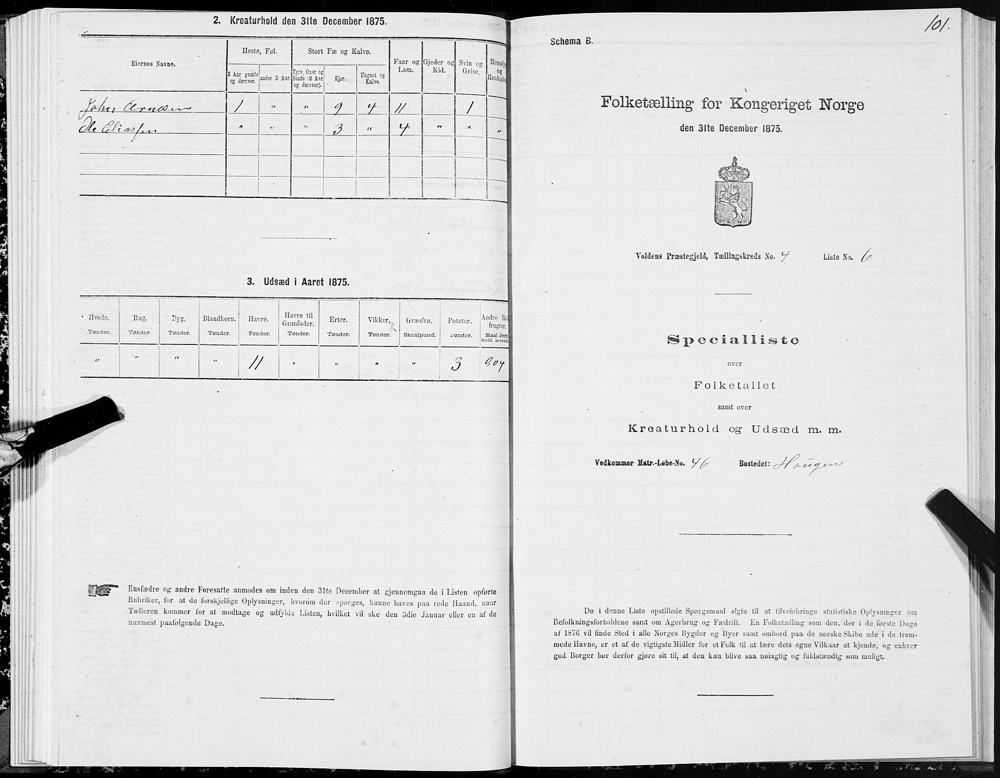 SAT, 1875 census for 1519P Volda, 1875, p. 3101