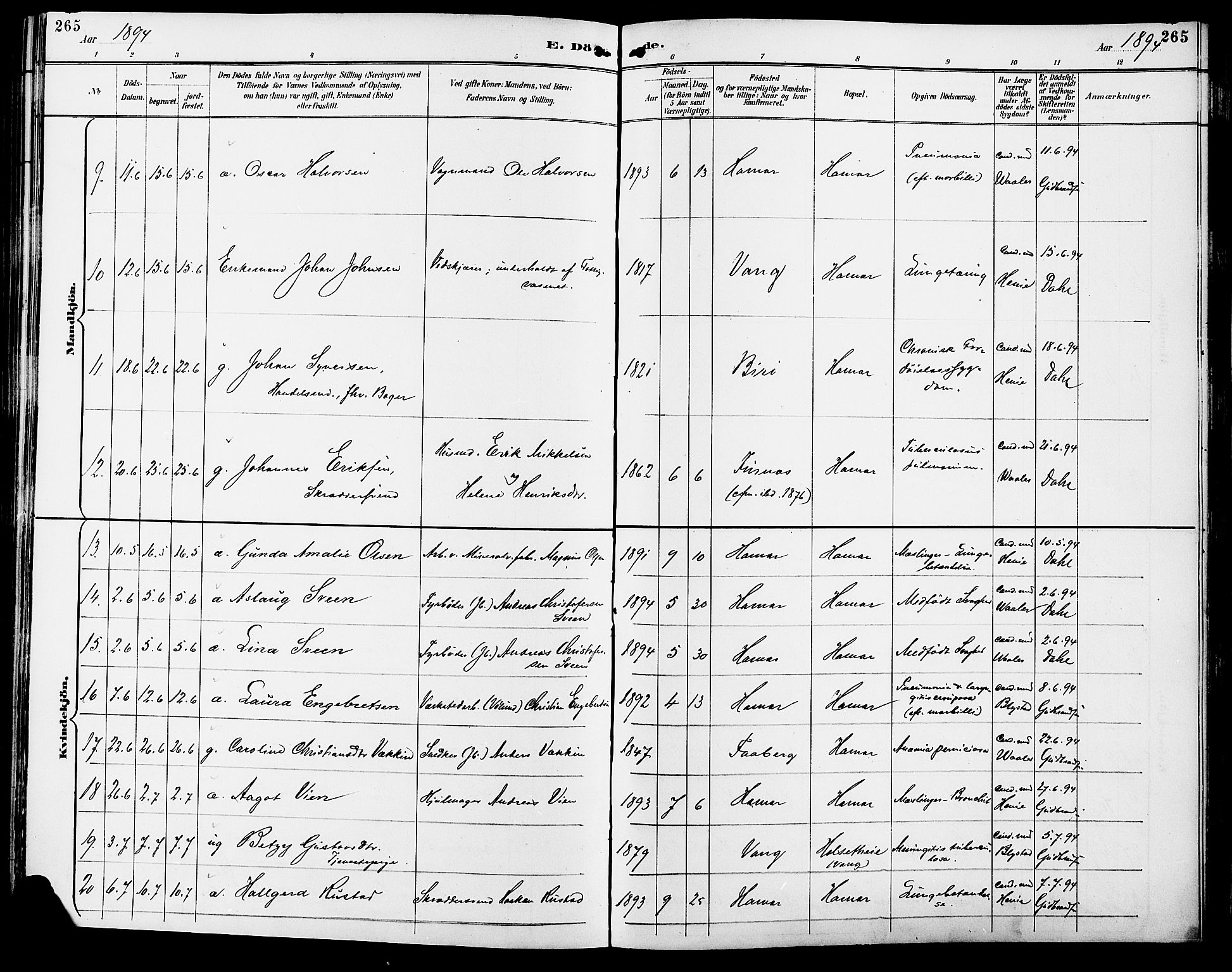 Vang prestekontor, Hedmark, SAH/PREST-008/H/Ha/Haa/L0017: Parish register (official) no. 17, 1890-1899, p. 265