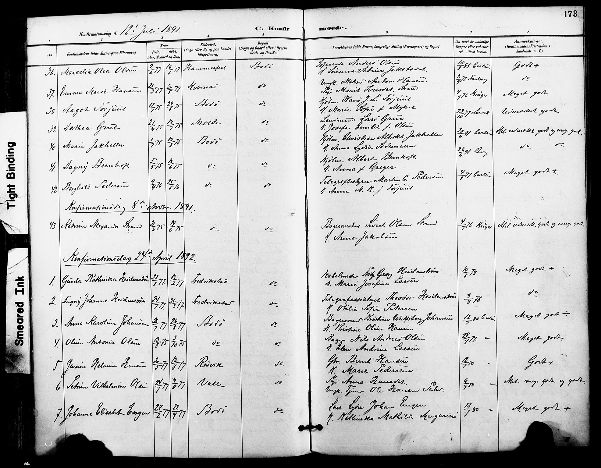 Ministerialprotokoller, klokkerbøker og fødselsregistre - Nordland, SAT/A-1459/801/L0010: Parish register (official) no. 801A10, 1888-1899, p. 173