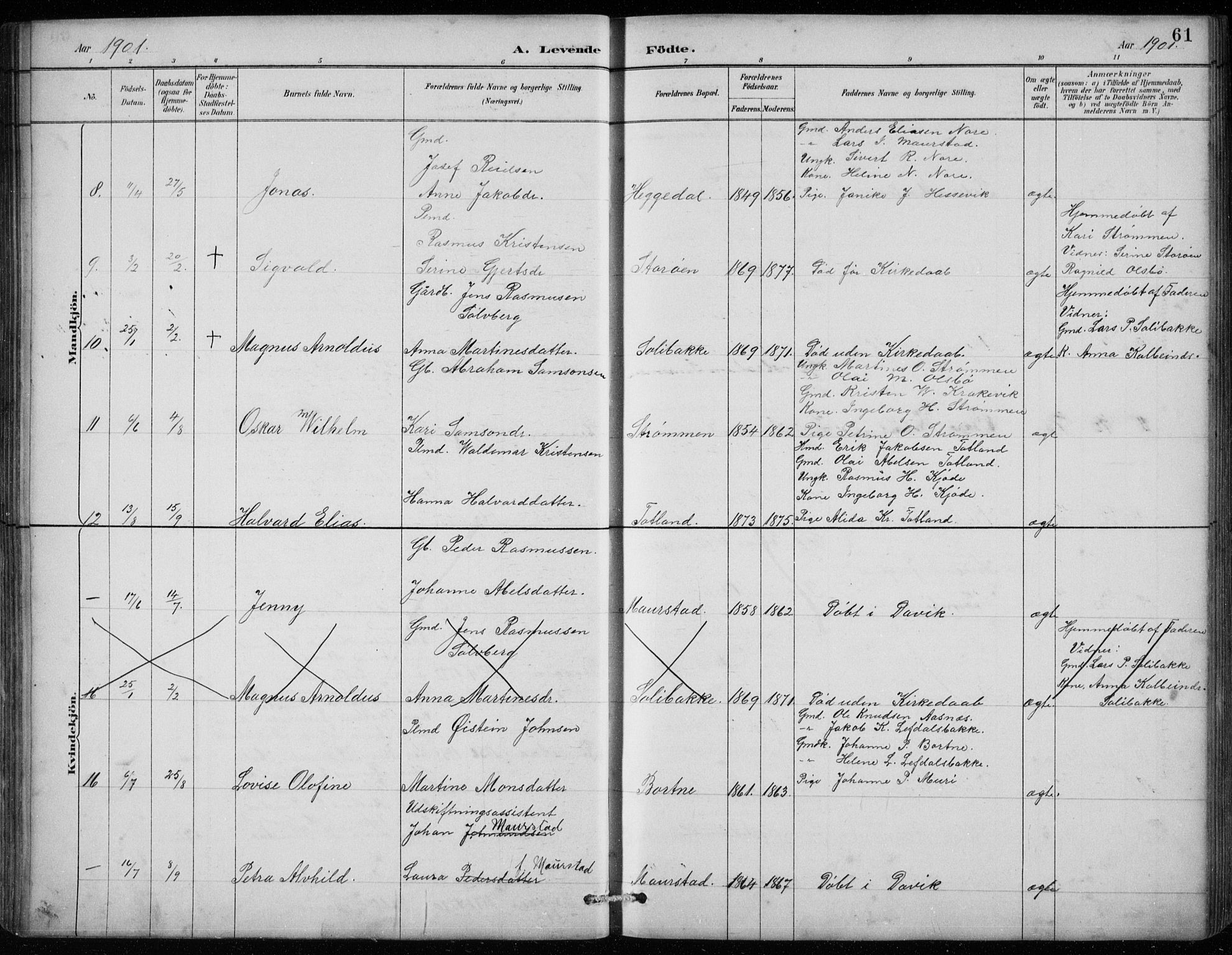 Davik sokneprestembete, AV/SAB-A-79701/H/Hab/Habc/L0002: Parish register (copy) no. C 2, 1889-1906, p. 61