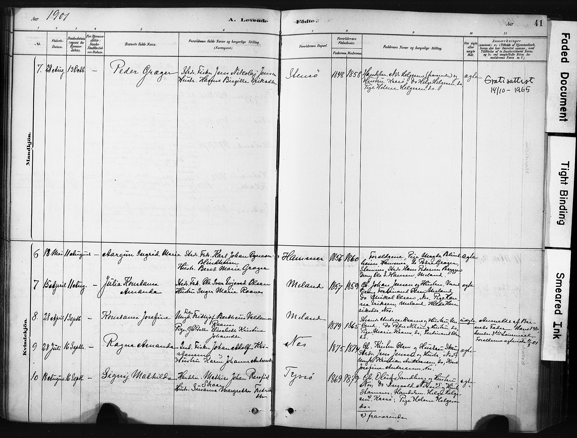 Ministerialprotokoller, klokkerbøker og fødselsregistre - Nordland, AV/SAT-A-1459/808/L0128: Parish register (official) no. 808A01, 1880-1902, p. 41