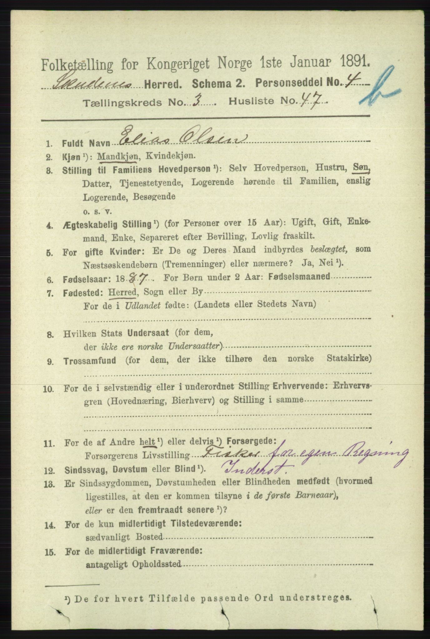 RA, 1891 census for 1150 Skudenes, 1891, p. 4244