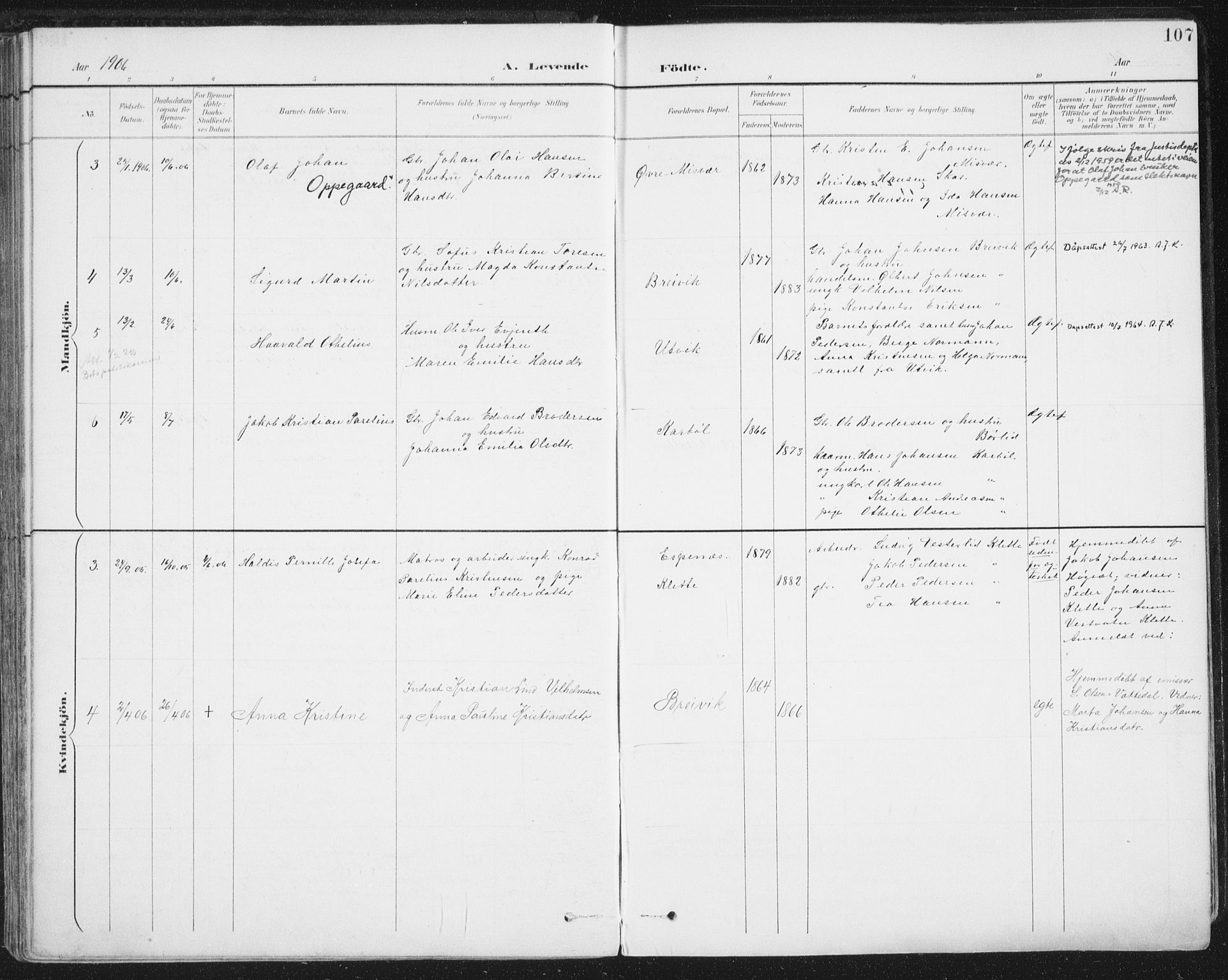 Ministerialprotokoller, klokkerbøker og fødselsregistre - Nordland, AV/SAT-A-1459/852/L0741: Parish register (official) no. 852A11, 1894-1917, p. 107