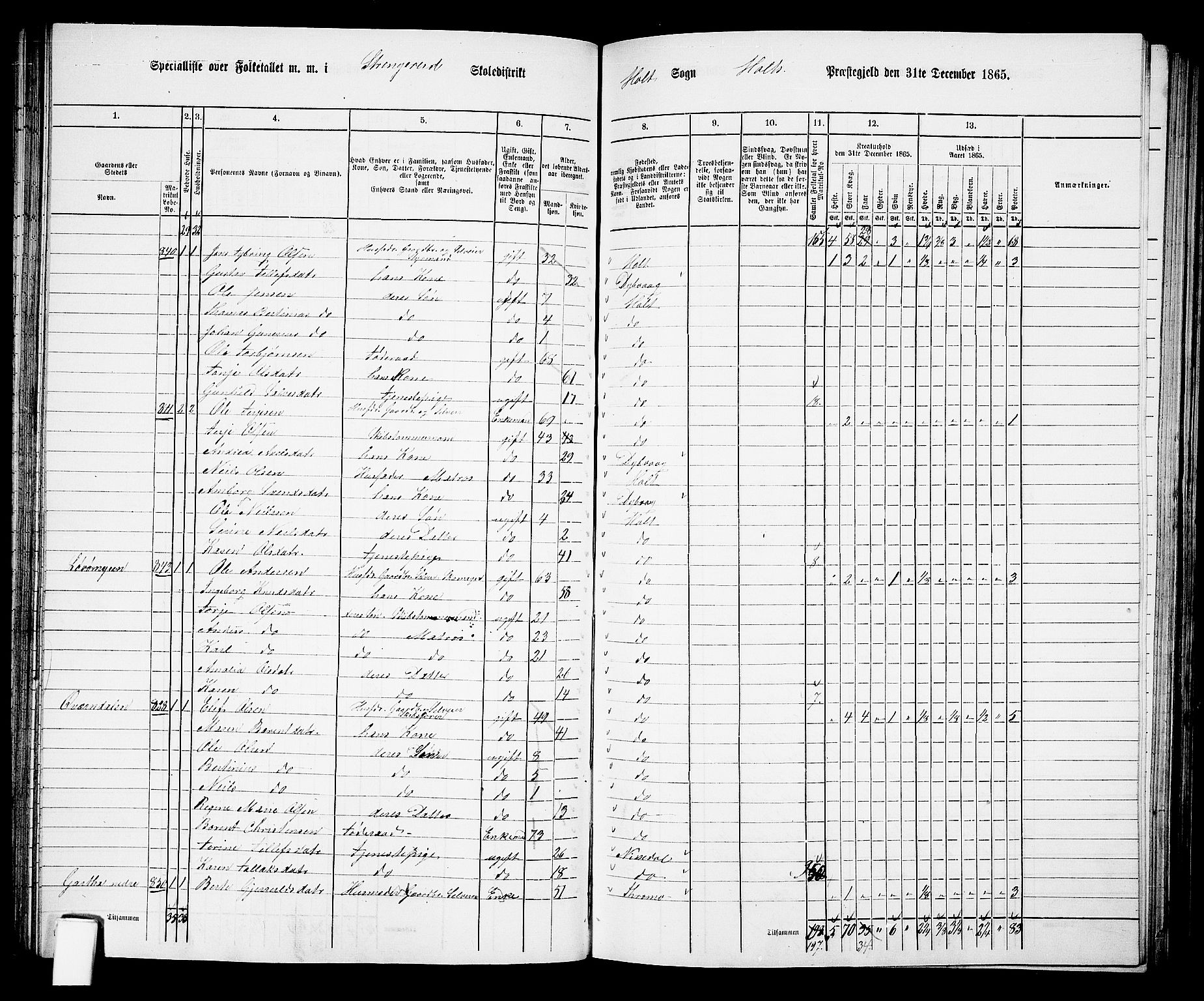 RA, 1865 census for Holt/Holt, 1865, p. 76
