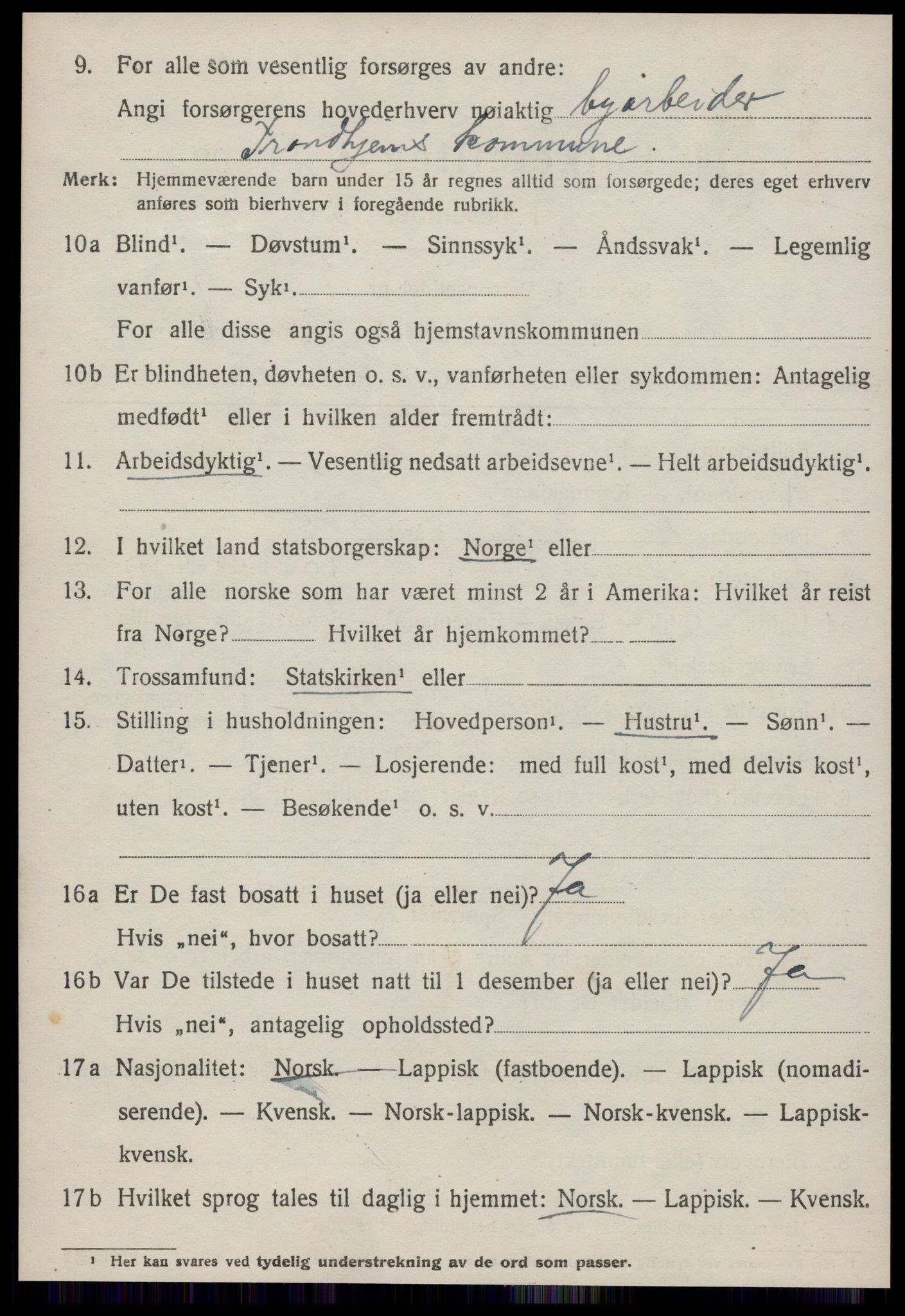 SAT, 1920 census for Strinda, 1920, p. 19465