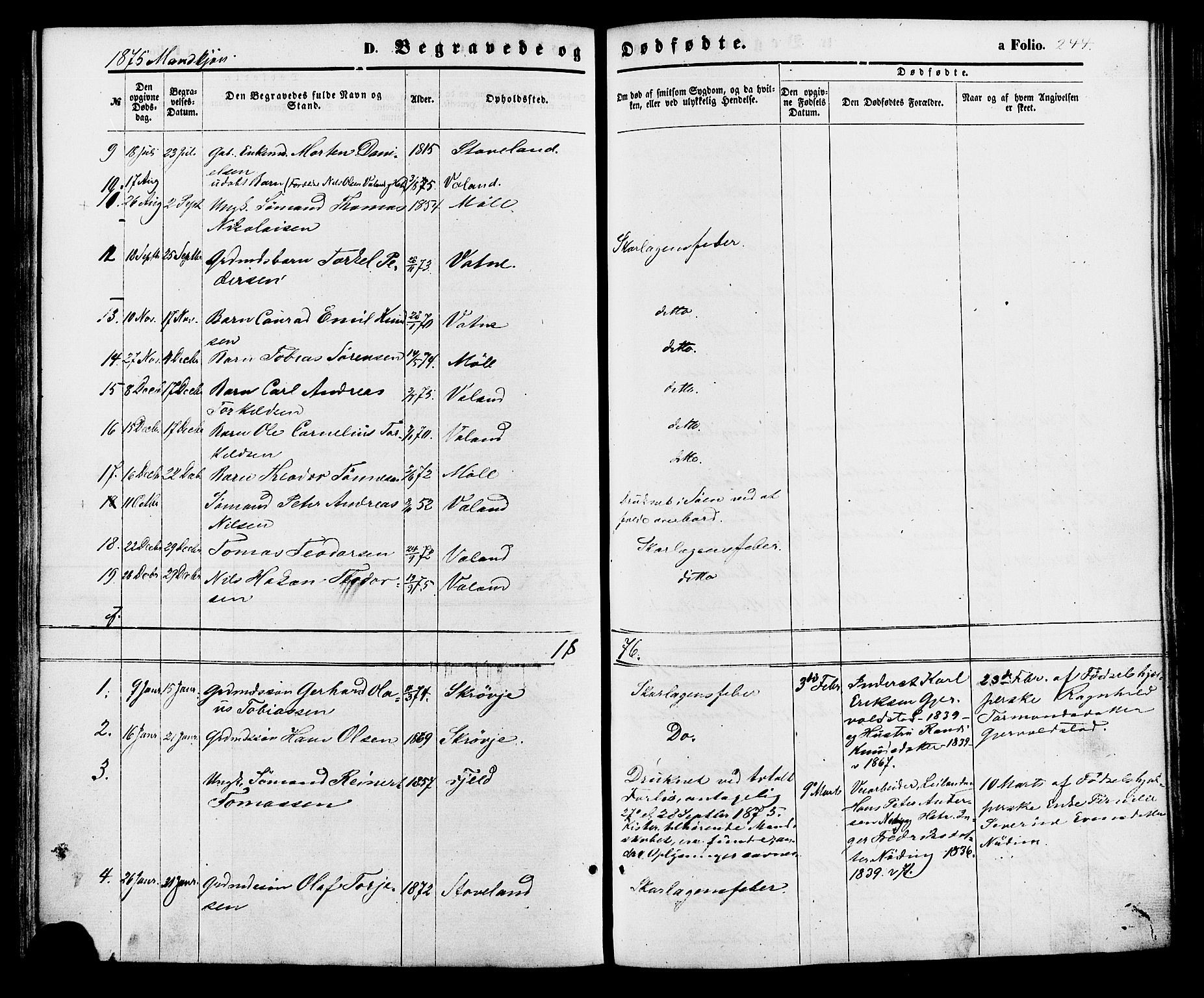 Holum sokneprestkontor, AV/SAK-1111-0022/F/Fa/Faa/L0006: Parish register (official) no. A 6, 1865-1883, p. 244