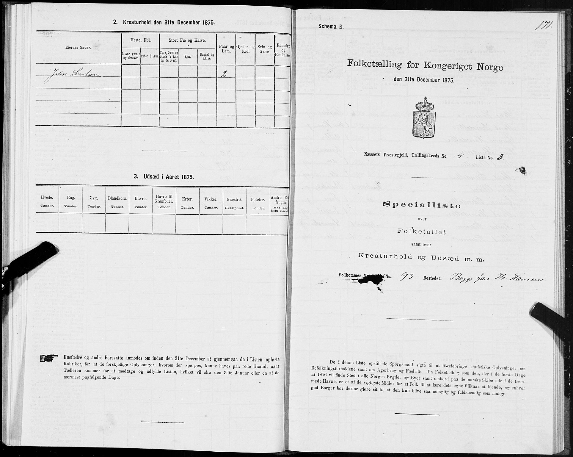 SAT, 1875 census for 1543P Nesset, 1875, p. 2171