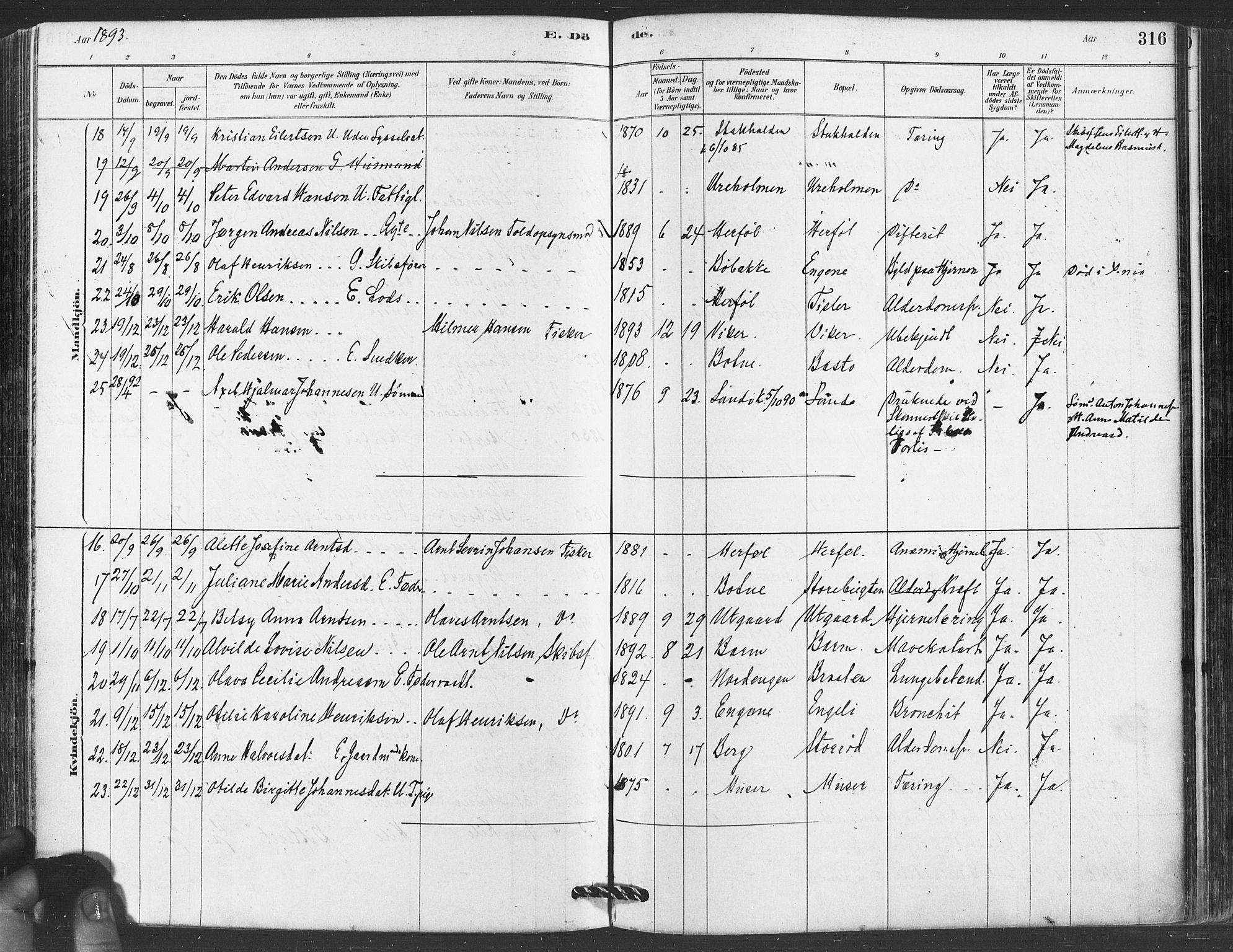 Hvaler prestekontor Kirkebøker, AV/SAO-A-2001/F/Fa/L0008: Parish register (official) no. I 8, 1878-1895, p. 316