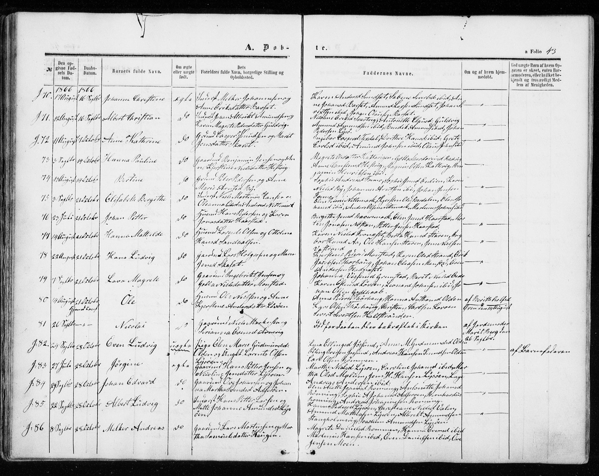 Ministerialprotokoller, klokkerbøker og fødselsregistre - Sør-Trøndelag, SAT/A-1456/655/L0678: Parish register (official) no. 655A07, 1861-1873, p. 43