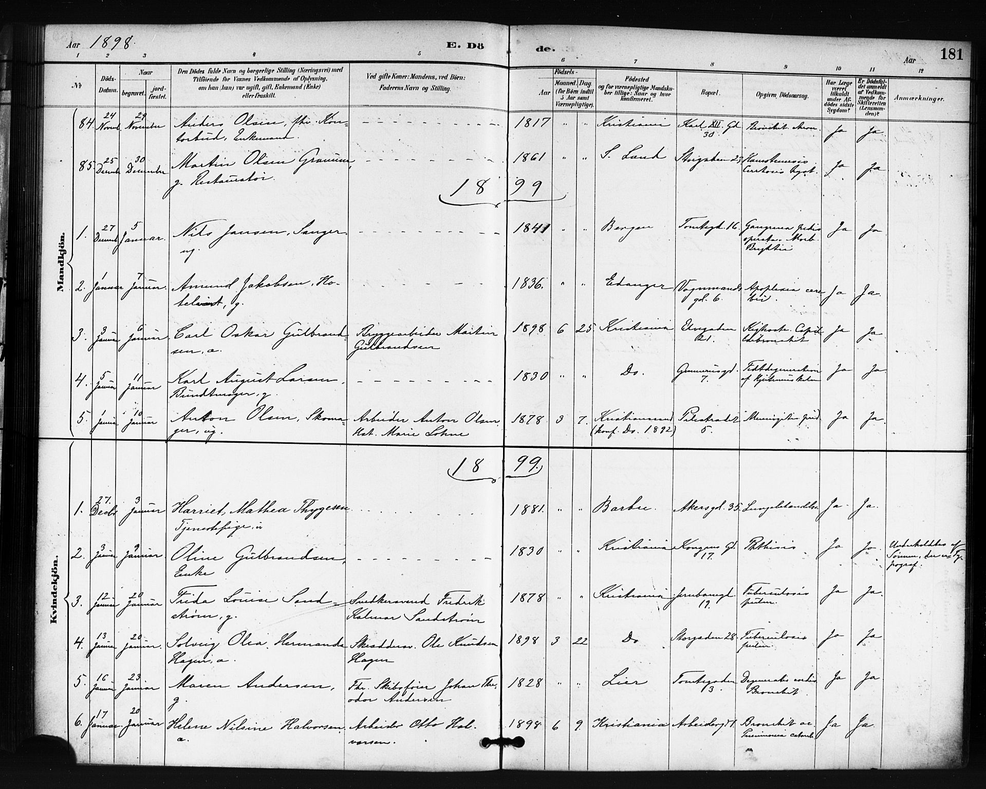 Oslo domkirke Kirkebøker, SAO/A-10752/F/Fa/L0035: Parish register (official) no. 35, 1885-1901, p. 181
