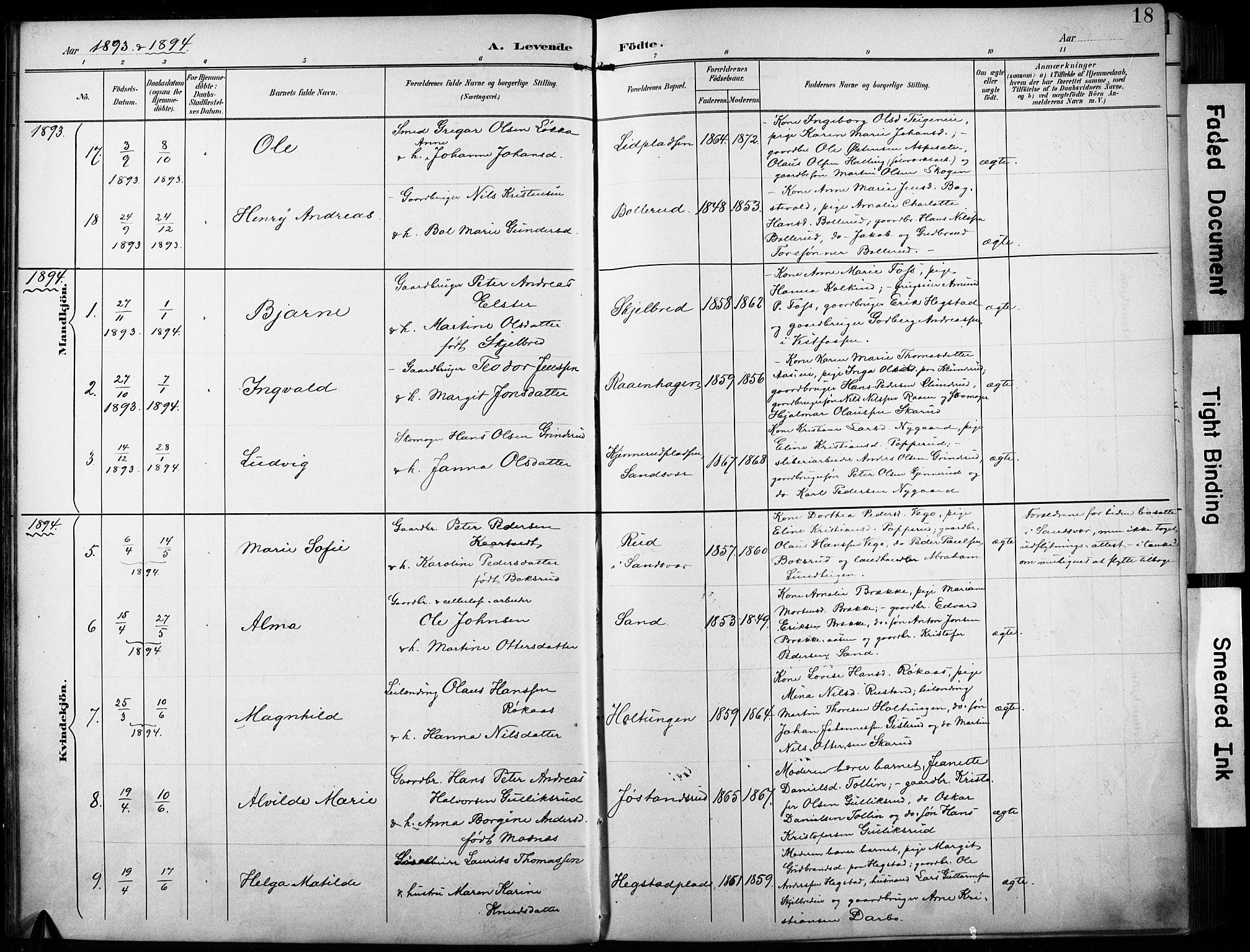 Fiskum kirkebøker, SAKO/A-15/F/Fa/L0003: Parish register (official) no. 3, 1890-1905, p. 18