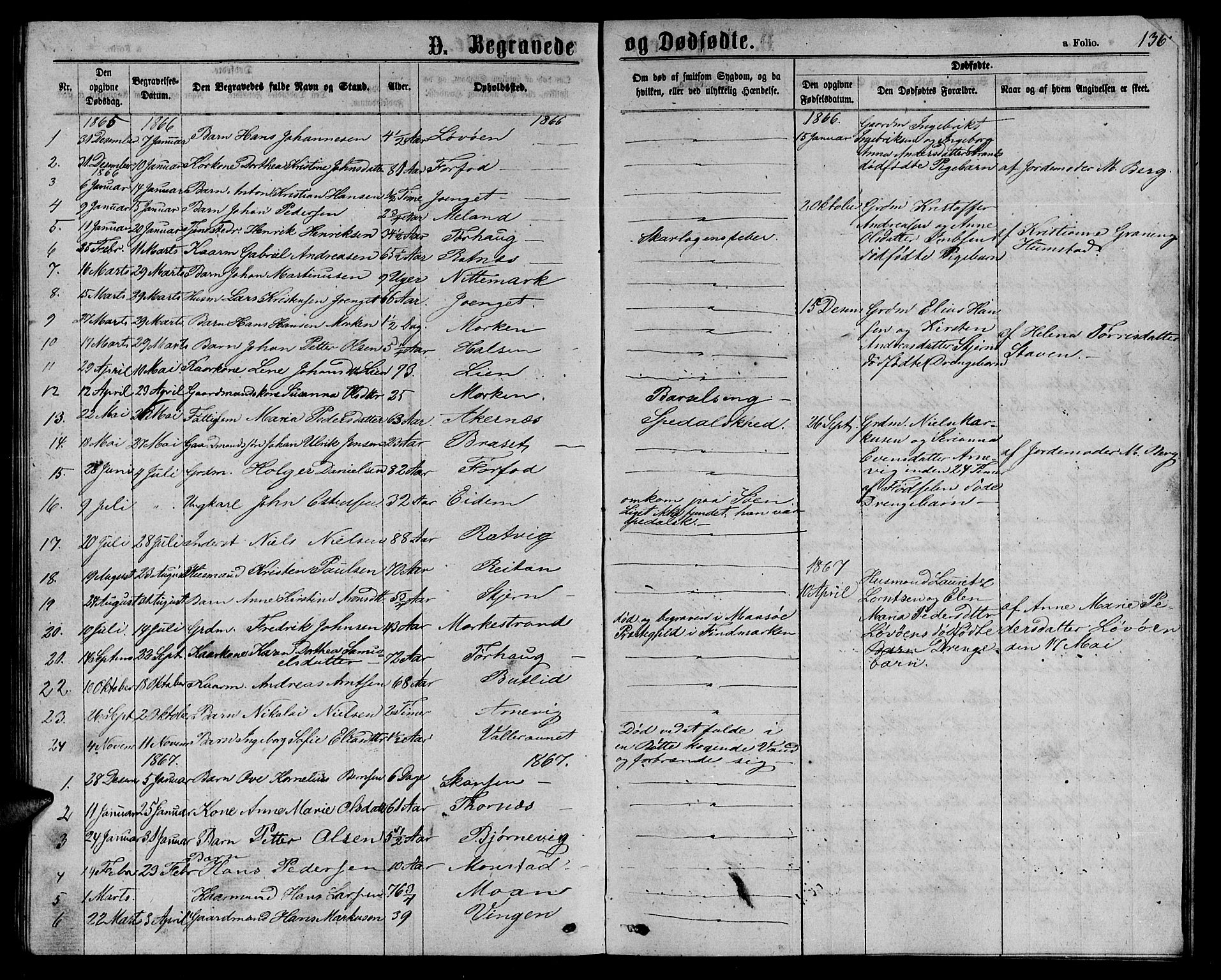 Ministerialprotokoller, klokkerbøker og fødselsregistre - Sør-Trøndelag, SAT/A-1456/655/L0686: Parish register (copy) no. 655C02, 1866-1879, p. 136