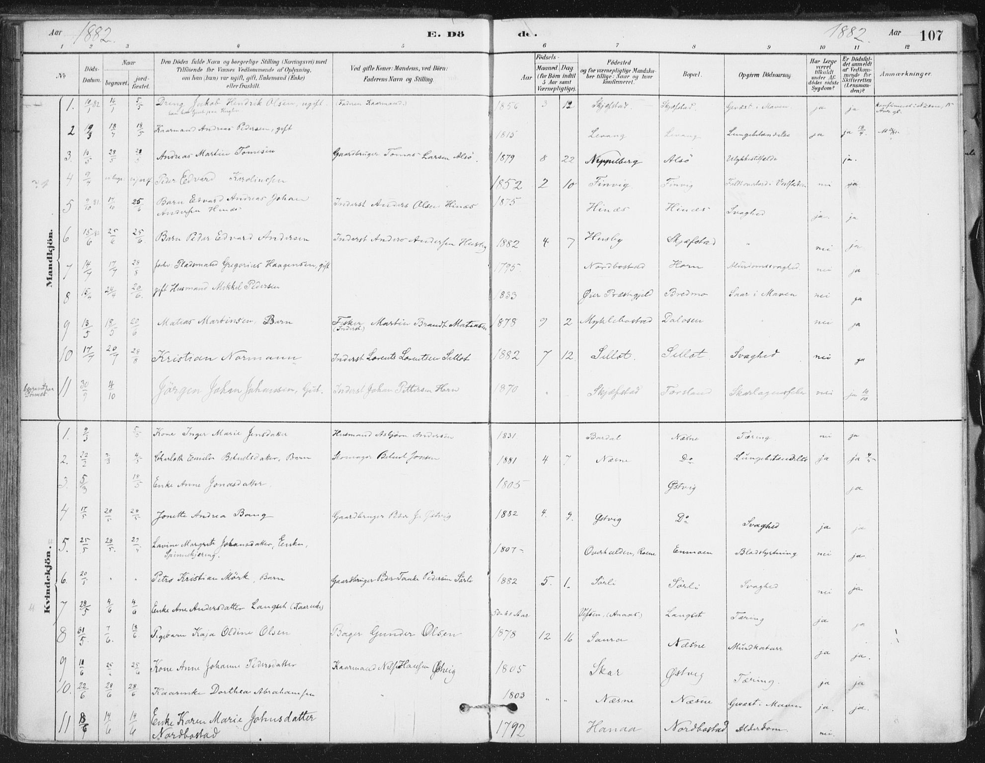 Ministerialprotokoller, klokkerbøker og fødselsregistre - Nordland, SAT/A-1459/838/L0553: Parish register (official) no. 838A11, 1880-1910, p. 107