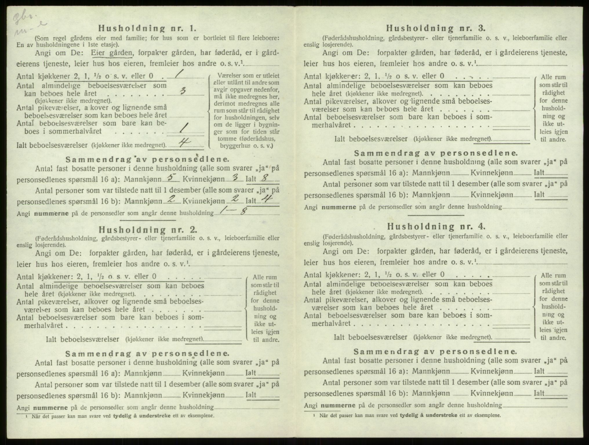 SAB, 1920 census for Stryn, 1920, p. 304