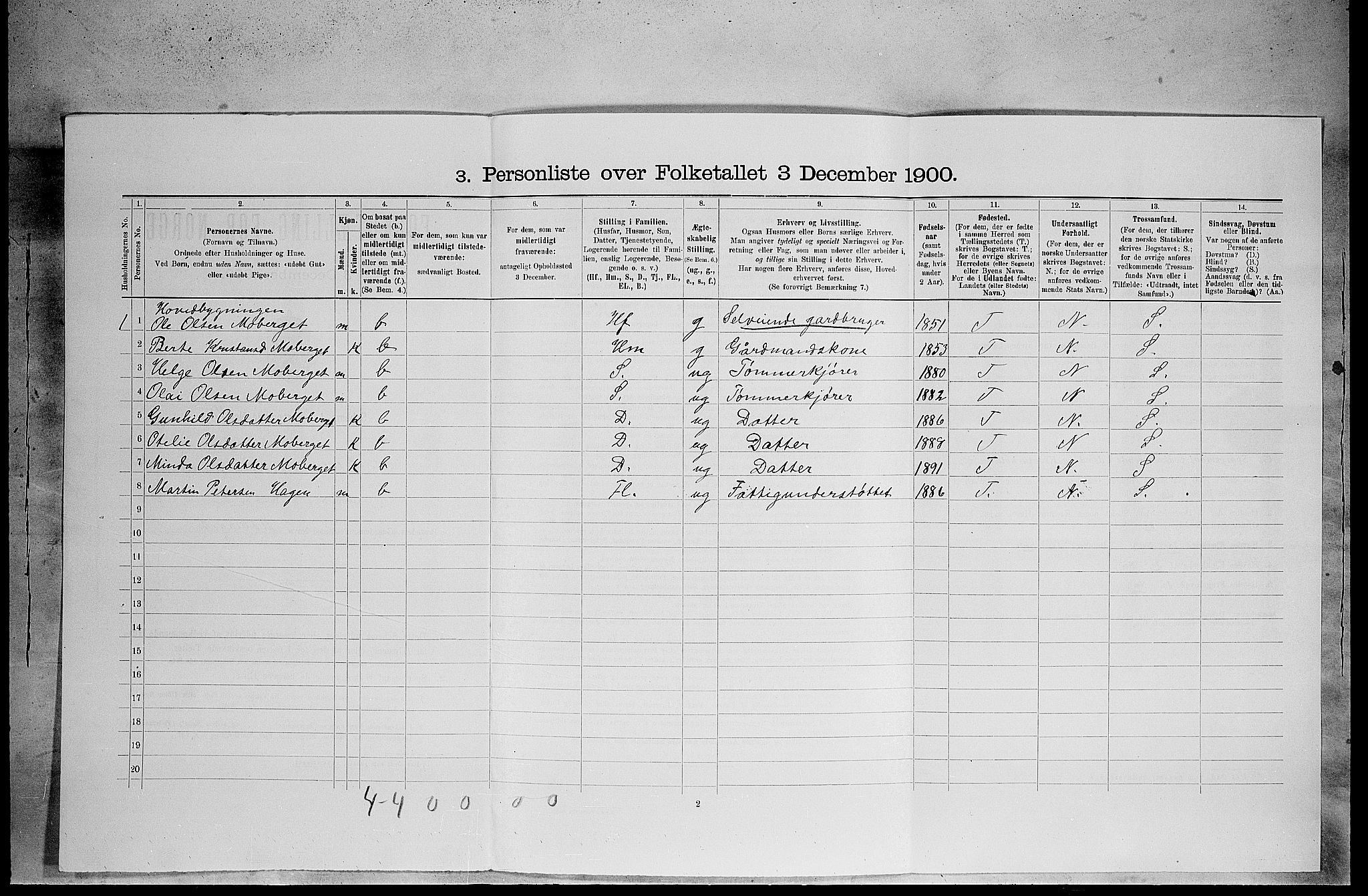 SAH, 1900 census for Elverum, 1900, p. 2308