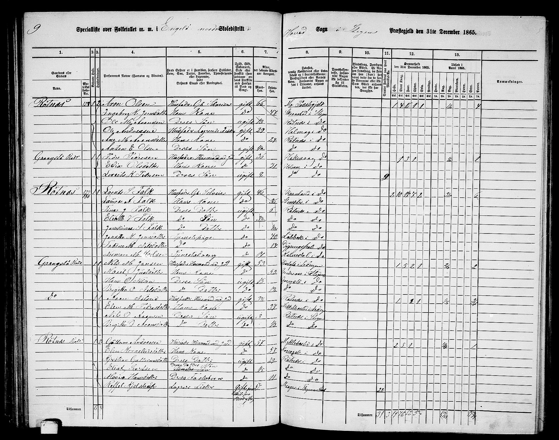 RA, 1865 census for Steigen, 1865, p. 67