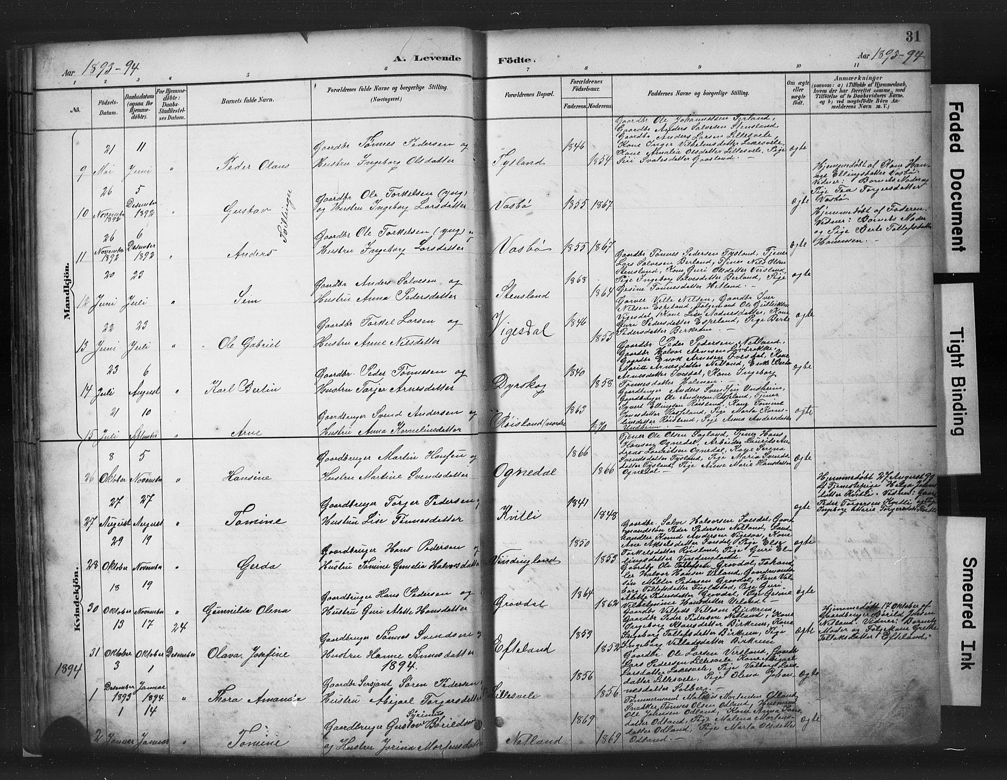 Helleland sokneprestkontor, SAST/A-101810: Parish register (copy) no. B 5, 1887-1908, p. 31