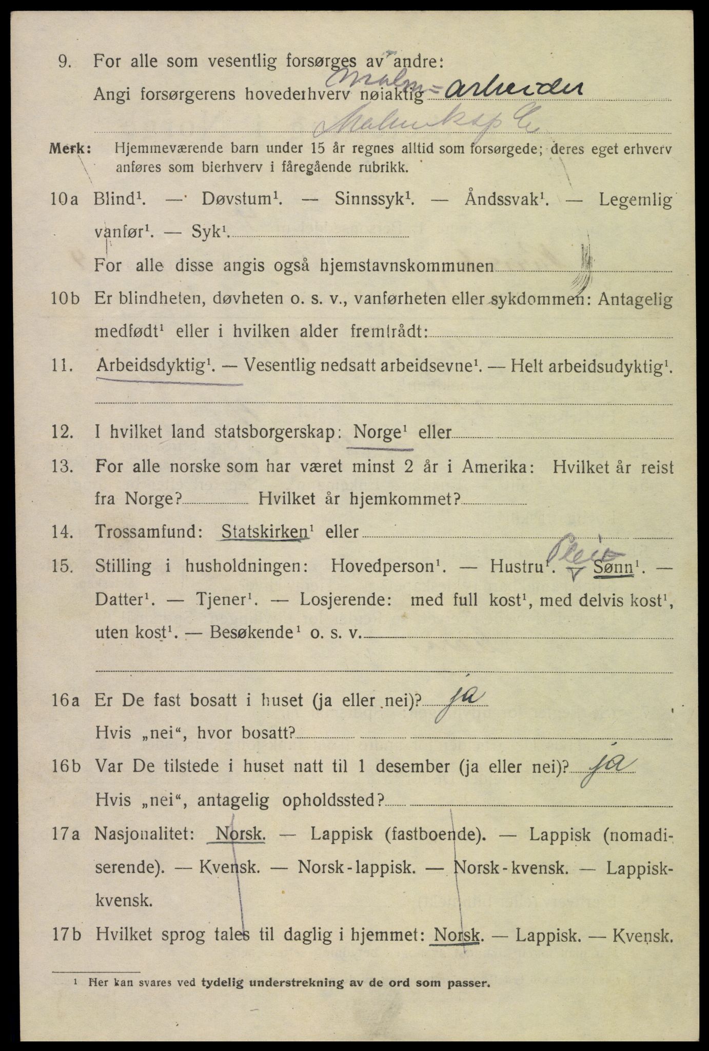 SAT, 1920 census for Narvik, 1920, p. 14313