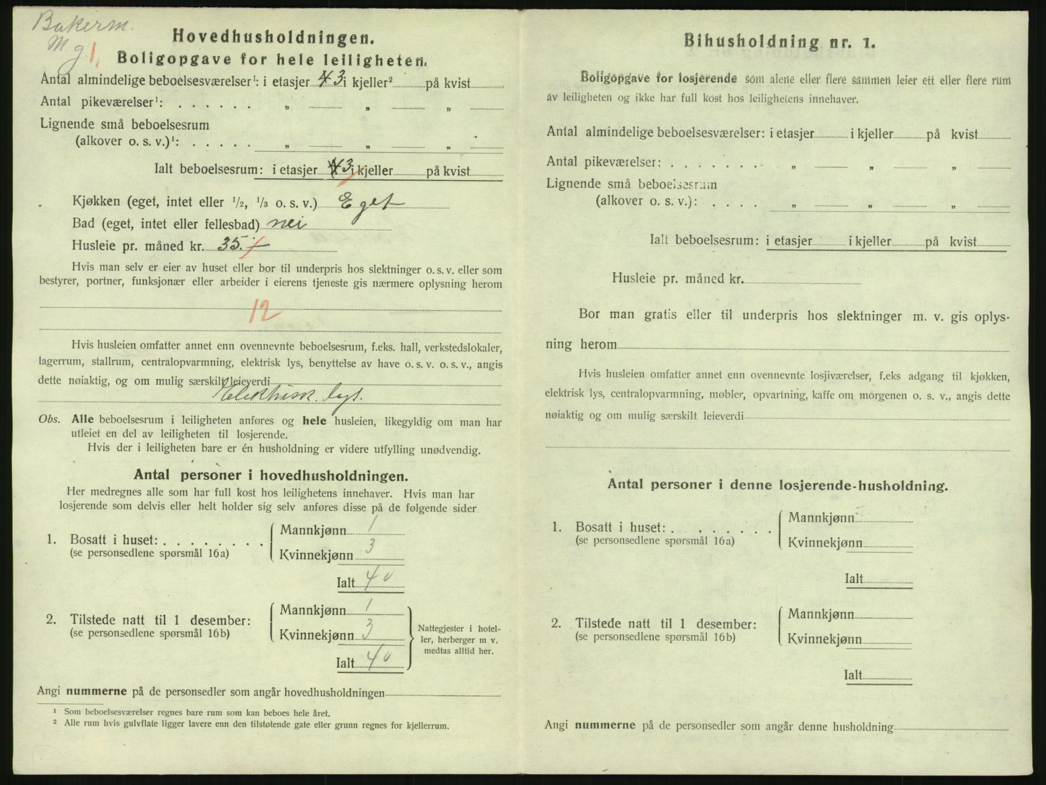 SAKO, 1920 census for Hønefoss, 1920, p. 1165