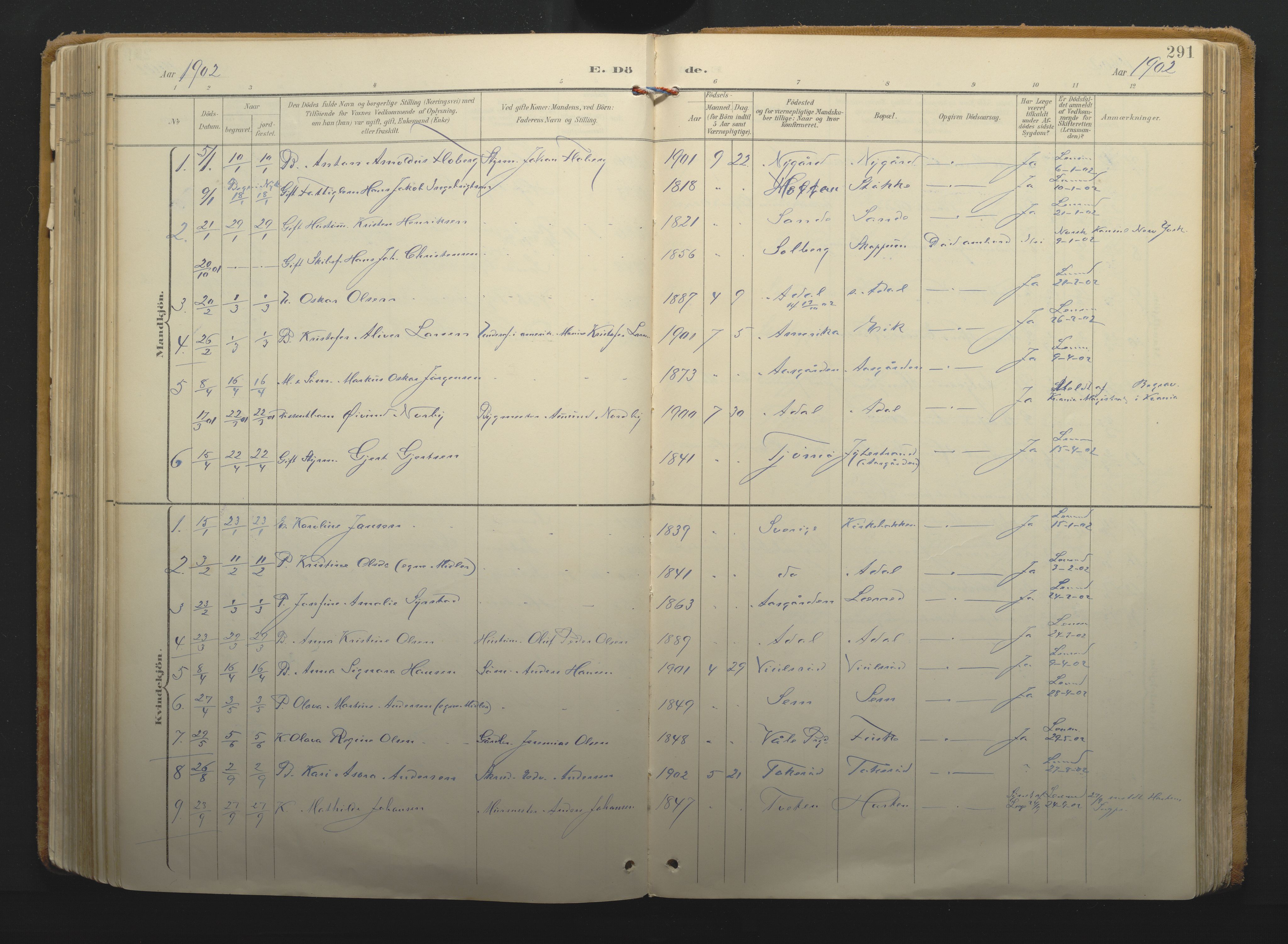 Borre kirkebøker, AV/SAKO-A-338/F/Fa/L0011: Parish register (official) no. I 11, 1897-1921, p. 291