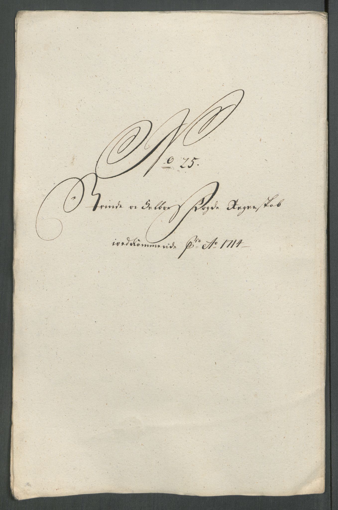 Rentekammeret inntil 1814, Reviderte regnskaper, Fogderegnskap, AV/RA-EA-4092/R61/L4114: Fogderegnskap Strinda og Selbu, 1714, p. 195