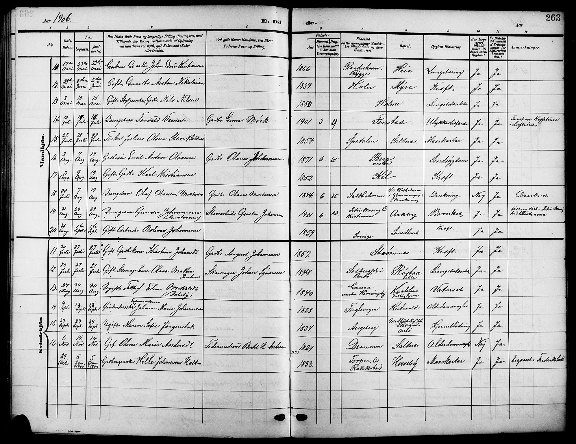 Råde prestekontor kirkebøker, SAO/A-2009/G/Ga/L0001: Parish register (copy) no. 1, 1903-1925, p. 263