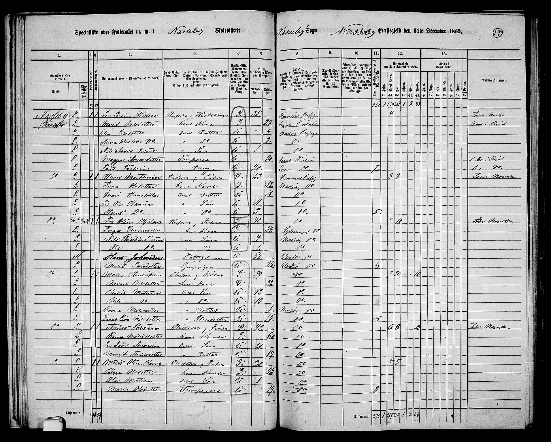 RA, 1865 census for Nesseby, 1865, p. 23