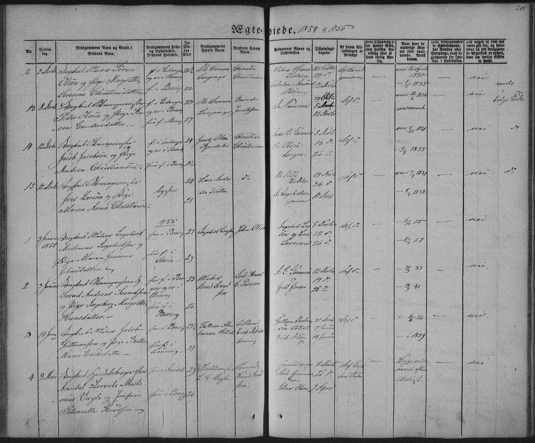 Brevik kirkebøker, SAKO/A-255/F/Fa/L0005: Parish register (official) no. 5, 1847-1865, p. 205