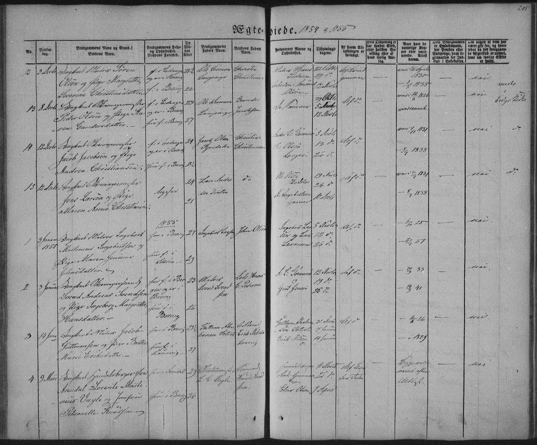 Brevik kirkebøker, AV/SAKO-A-255/F/Fa/L0005: Parish register (official) no. 5, 1847-1865, p. 205