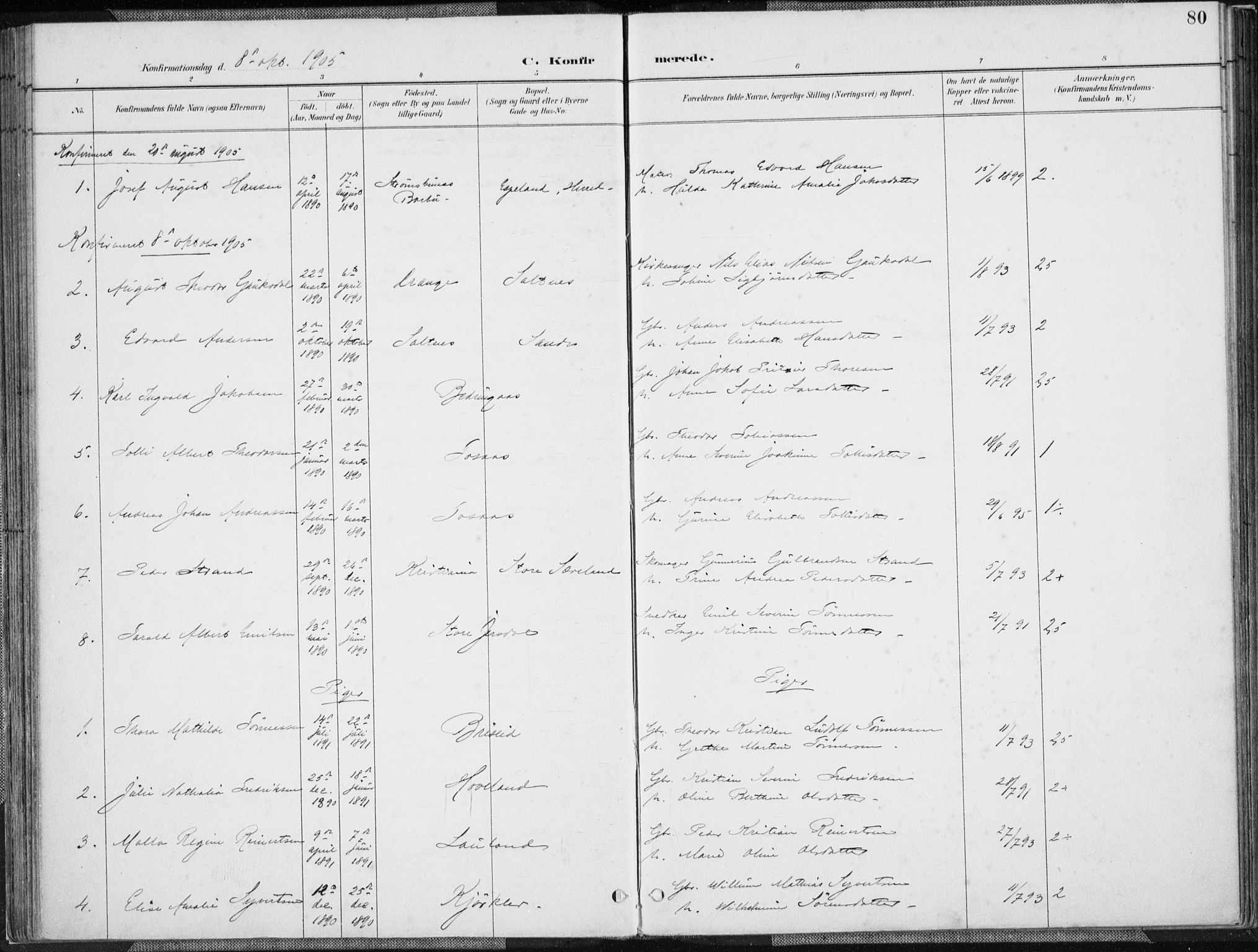 Herad sokneprestkontor, SAK/1111-0018/F/Fa/Faa/L0006: Parish register (official) no. A 6, 1887-1907, p. 80