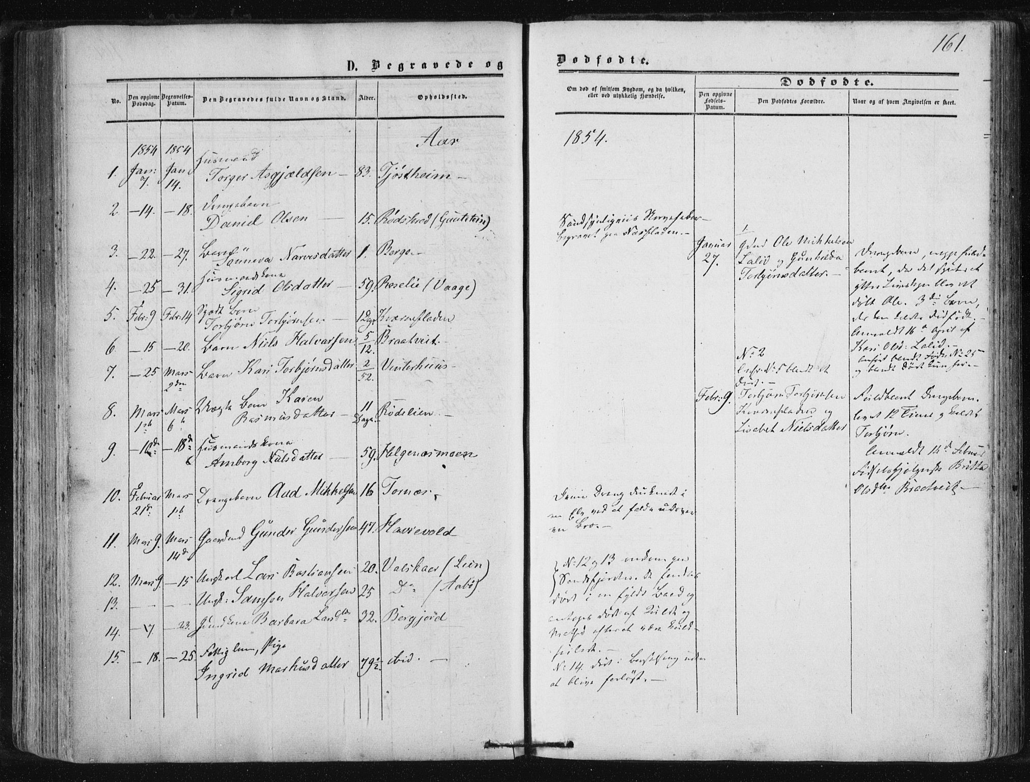 Suldal sokneprestkontor, SAST/A-101845/01/IV/L0009: Parish register (official) no. A 9, 1854-1868, p. 161