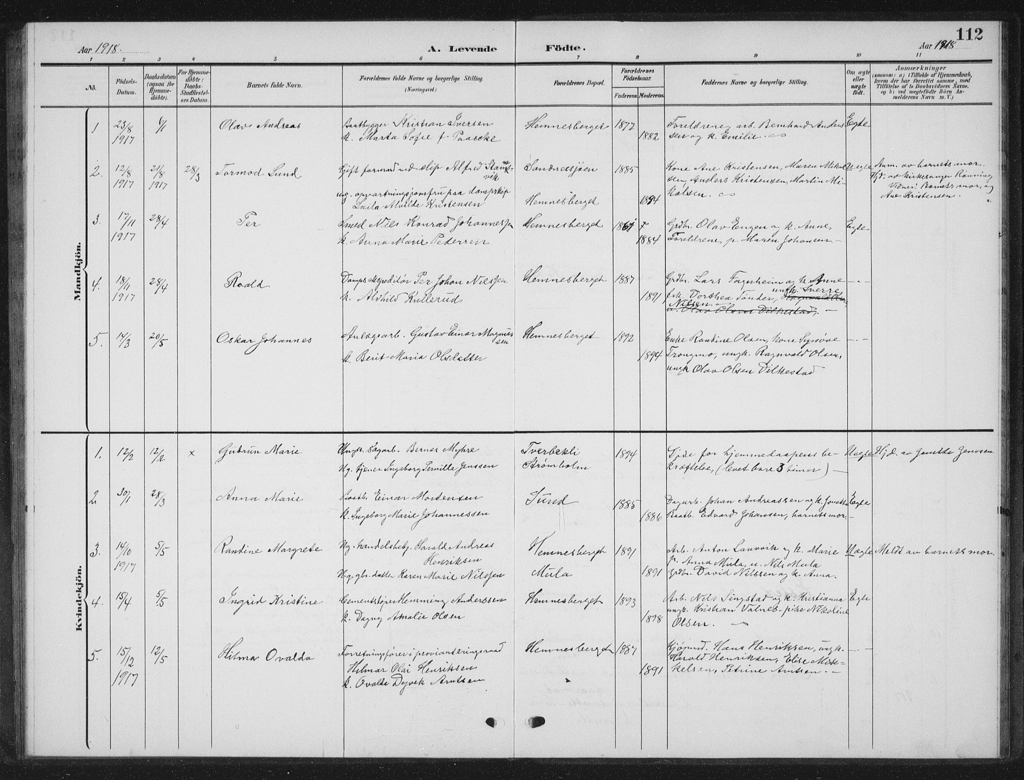 Ministerialprotokoller, klokkerbøker og fødselsregistre - Nordland, SAT/A-1459/825/L0370: Parish register (copy) no. 825C07, 1903-1923, p. 112