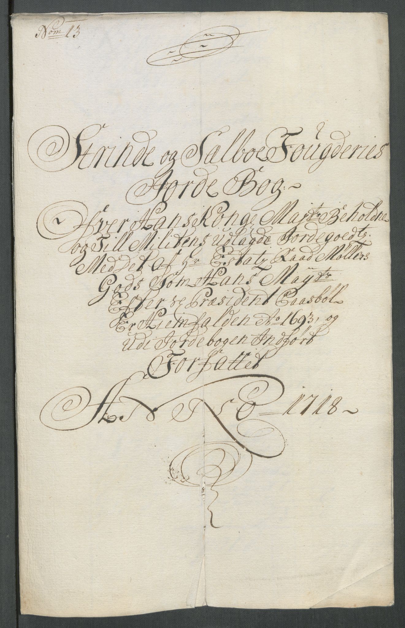 Rentekammeret inntil 1814, Reviderte regnskaper, Fogderegnskap, RA/EA-4092/R61/L4116: Fogderegnskap Strinda og Selbu, 1717-1718, p. 415