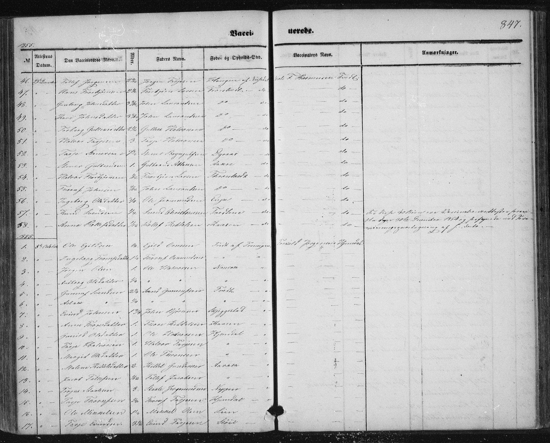 Nissedal kirkebøker, SAKO/A-288/F/Fa/L0003: Parish register (official) no. I 3, 1846-1870, p. 846-847