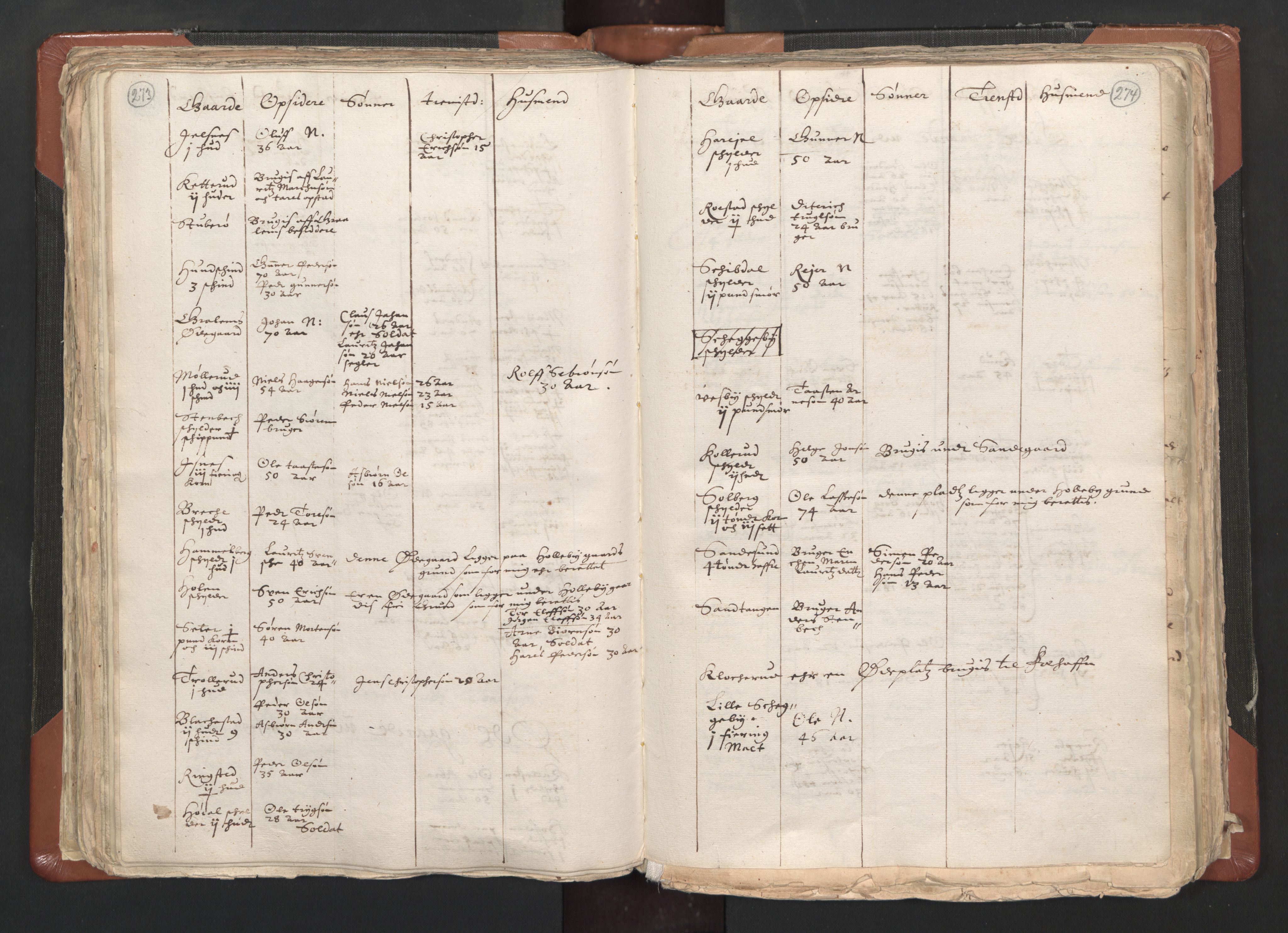 RA, Vicar's Census 1664-1666, no. 1: Nedre Borgesyssel deanery, 1664-1666, p. 273-274