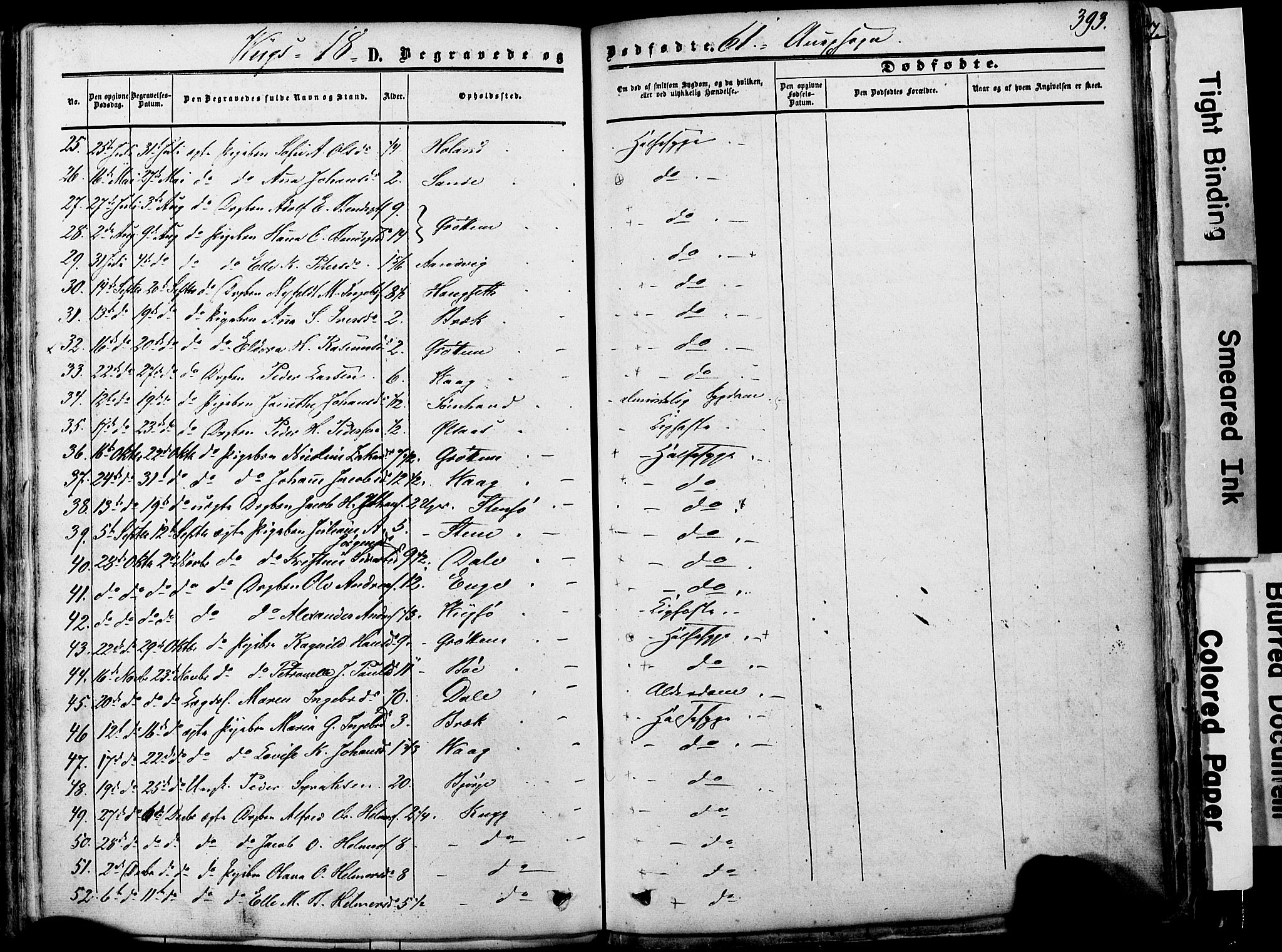 Ministerialprotokoller, klokkerbøker og fødselsregistre - Nordland, AV/SAT-A-1459/812/L0176: Parish register (official) no. 812A05, 1834-1874, p. 393