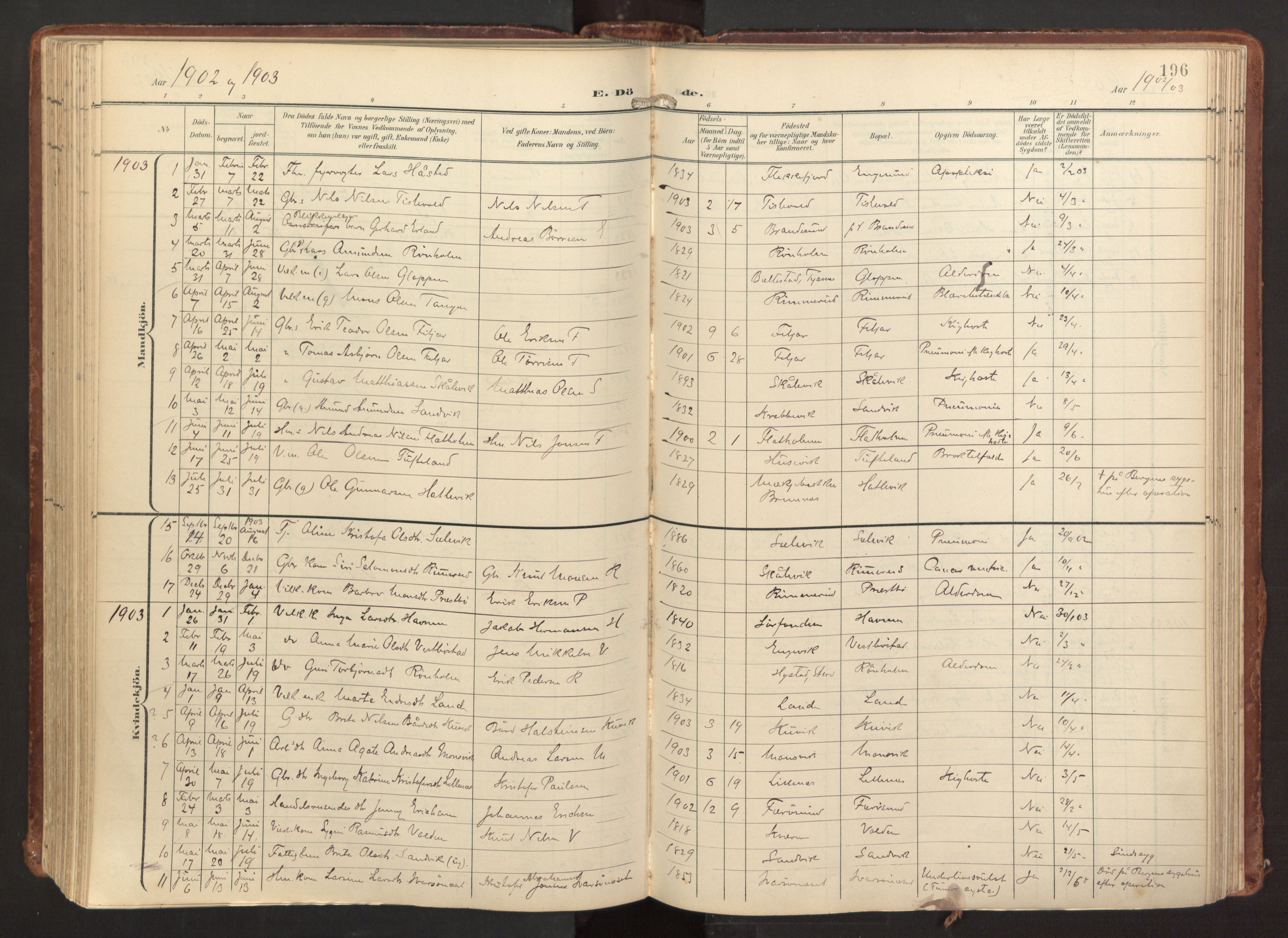 Fitjar sokneprestembete, SAB/A-99926: Parish register (official) no. A 3, 1900-1918, p. 196