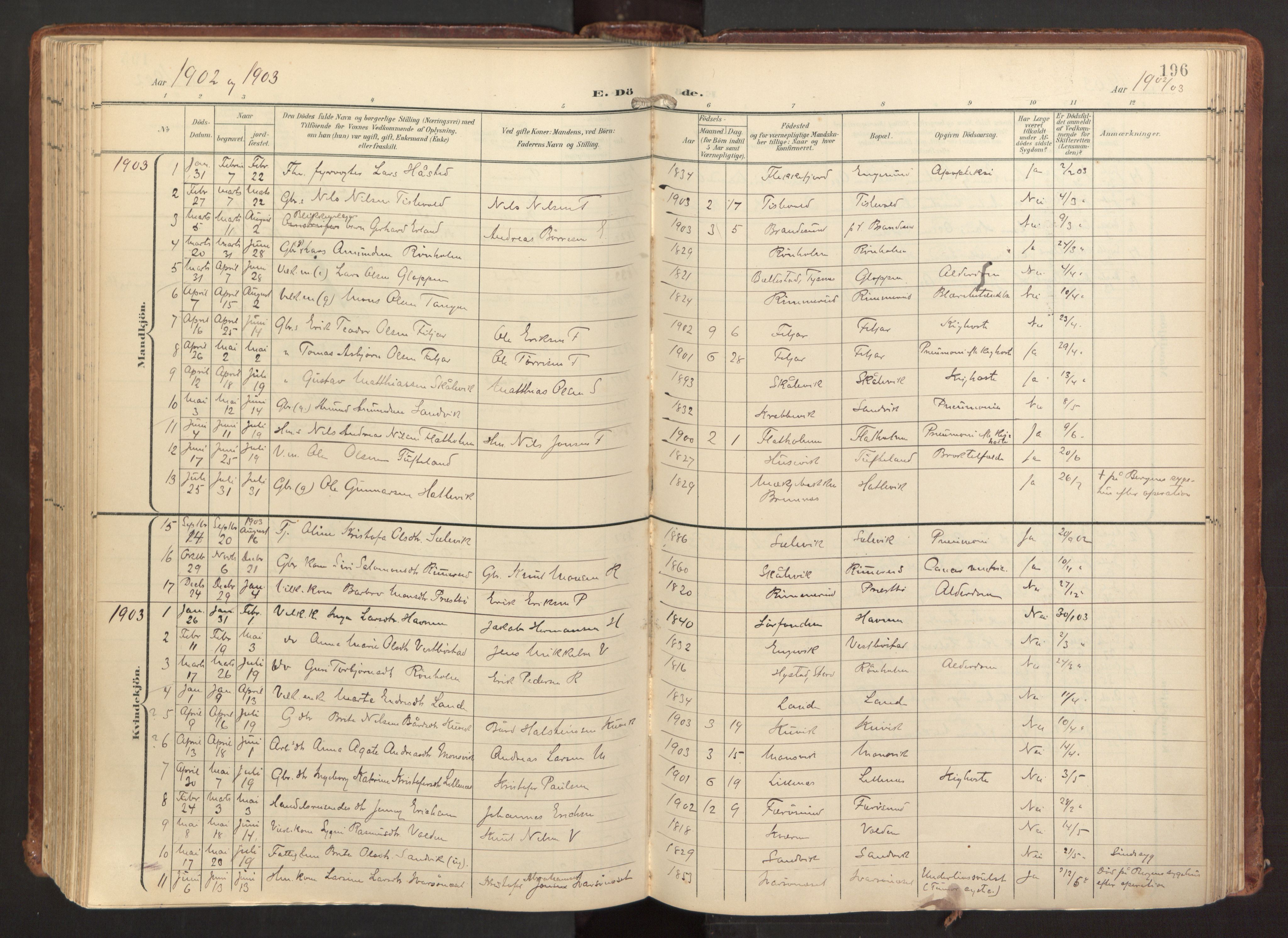Fitjar sokneprestembete, AV/SAB-A-99926: Parish register (official) no. A 3, 1900-1918, p. 196