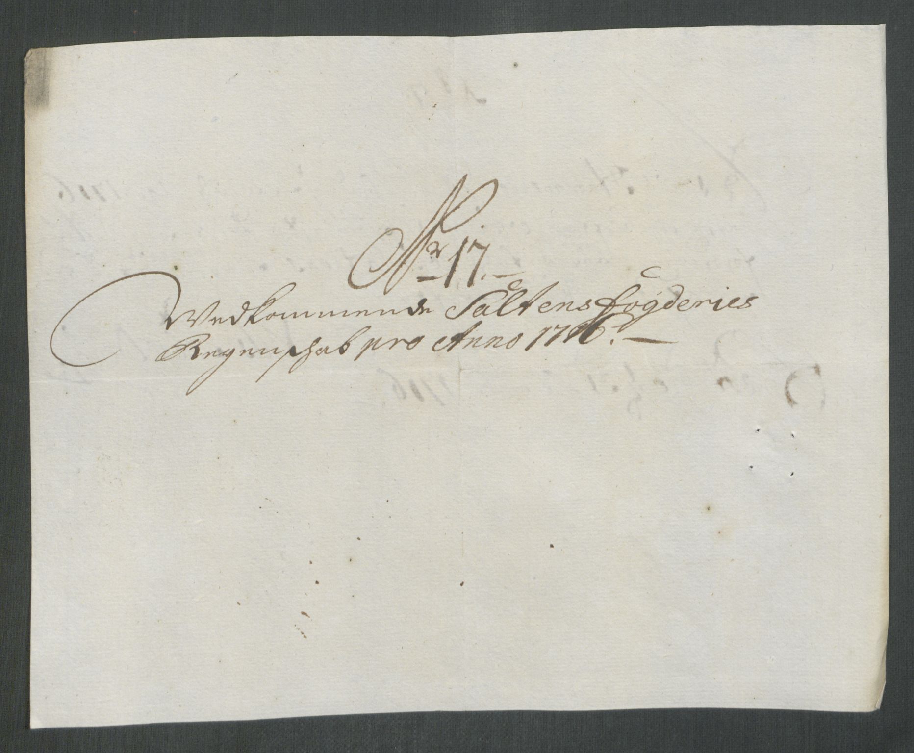 Rentekammeret inntil 1814, Reviderte regnskaper, Fogderegnskap, RA/EA-4092/R66/L4586: Fogderegnskap Salten, 1716, p. 123