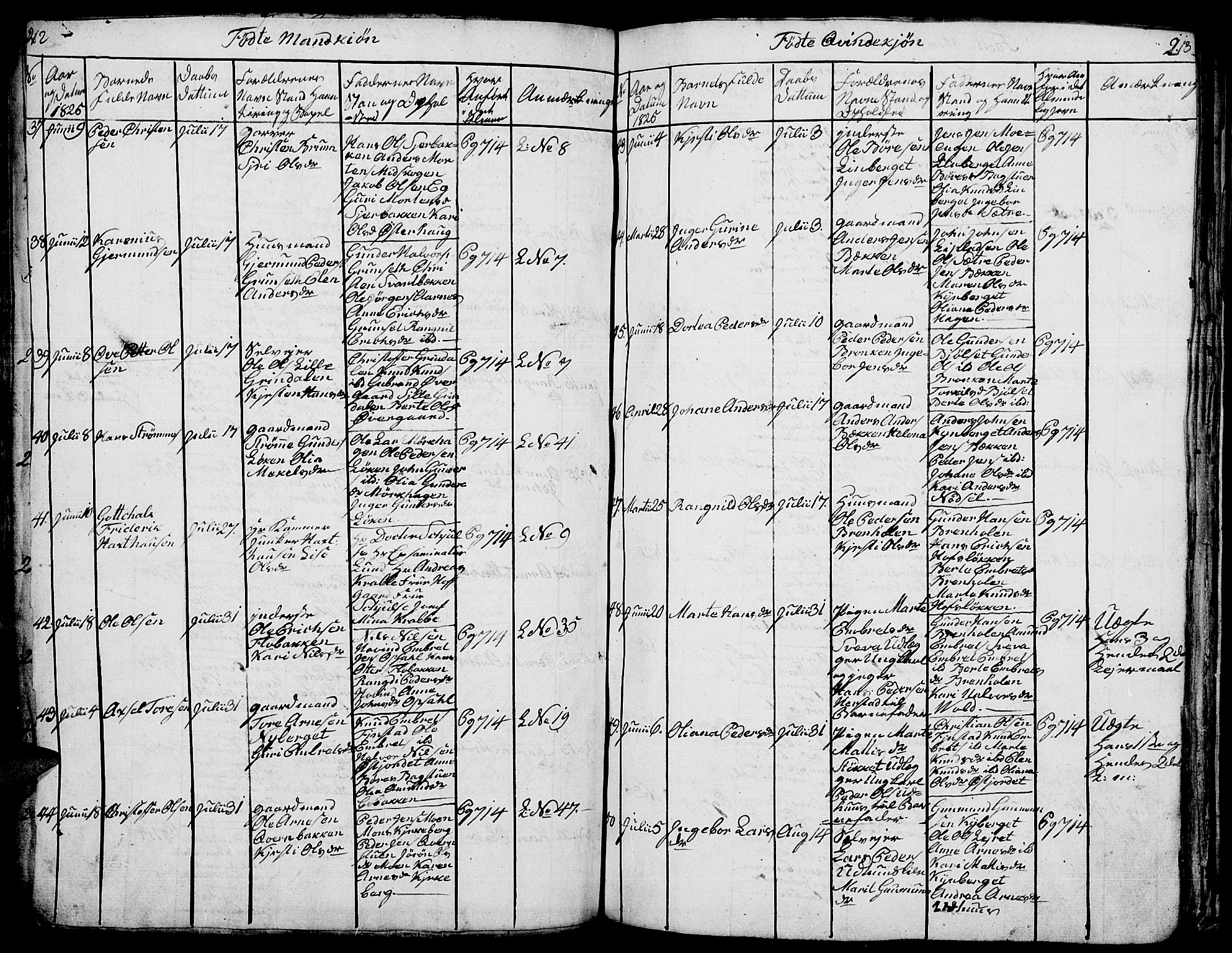 Elverum prestekontor, AV/SAH-PREST-044/H/Ha/Hab/L0001: Parish register (copy) no. 1, 1815-1829, p. 212-213